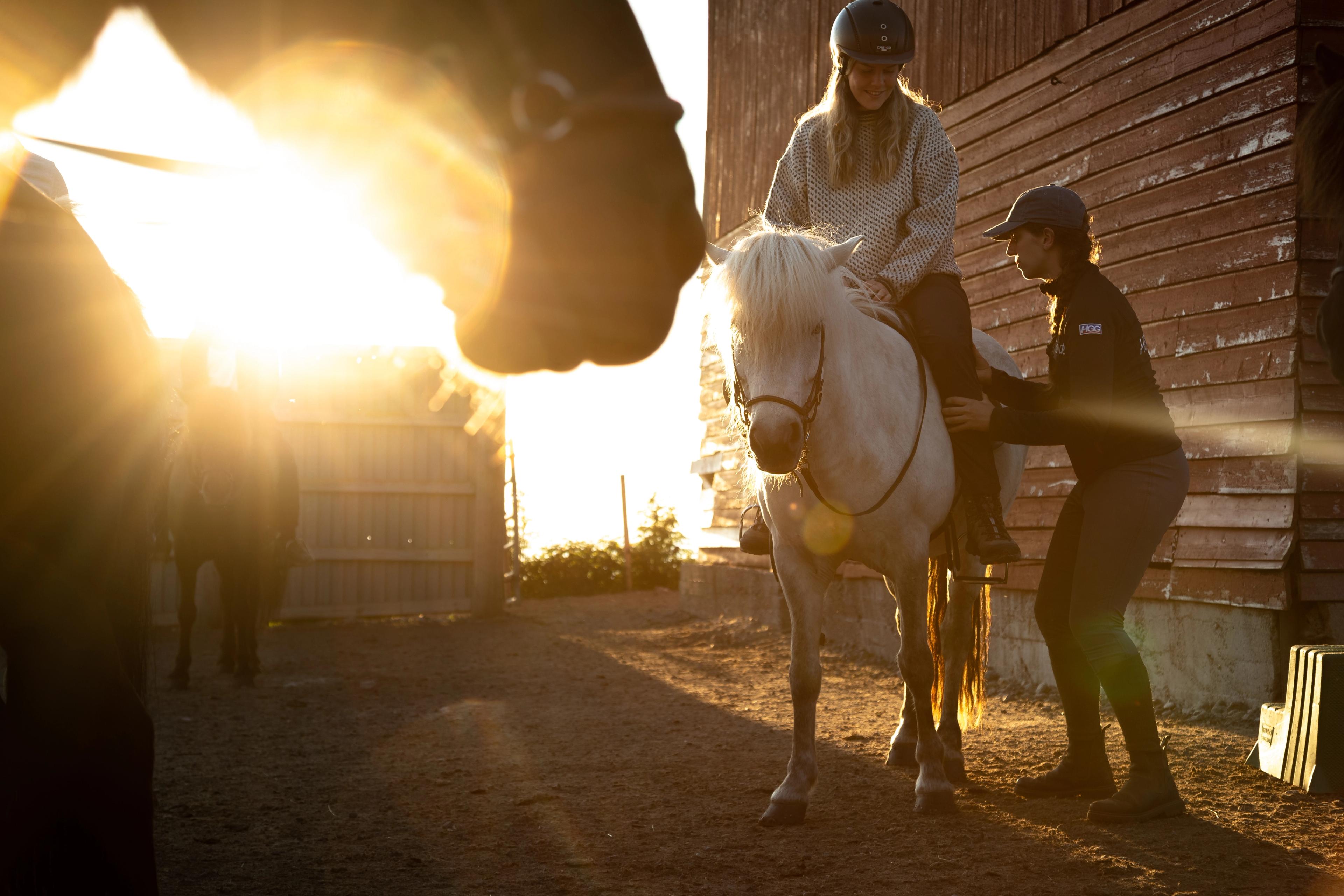 People saddling up their horses in the autumn sun in Lofoten, Northern Norway
