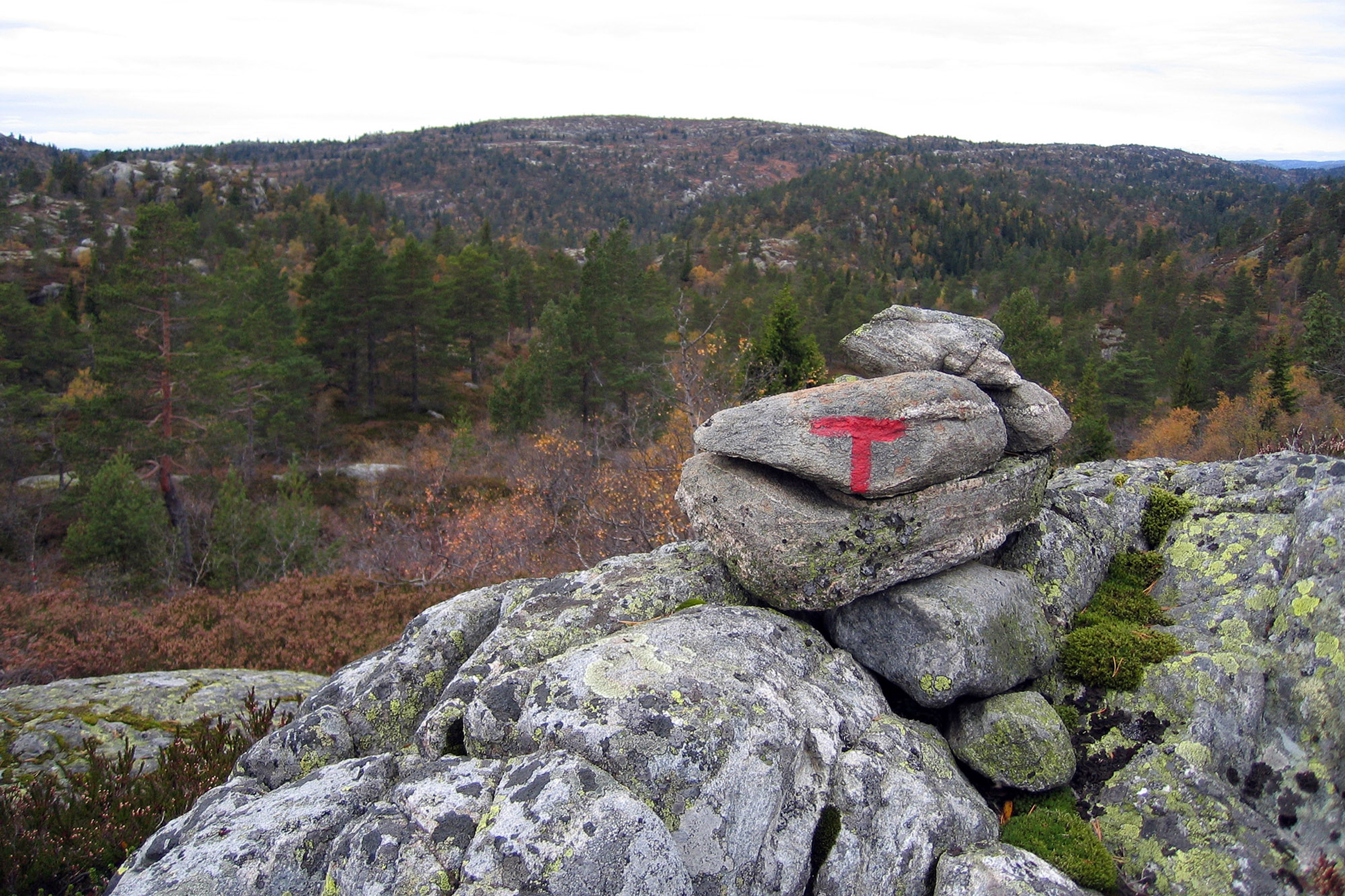 A pile of rocks in nature with a red "T" painted on the side by The Norwegian Trekking Association (DNT)
