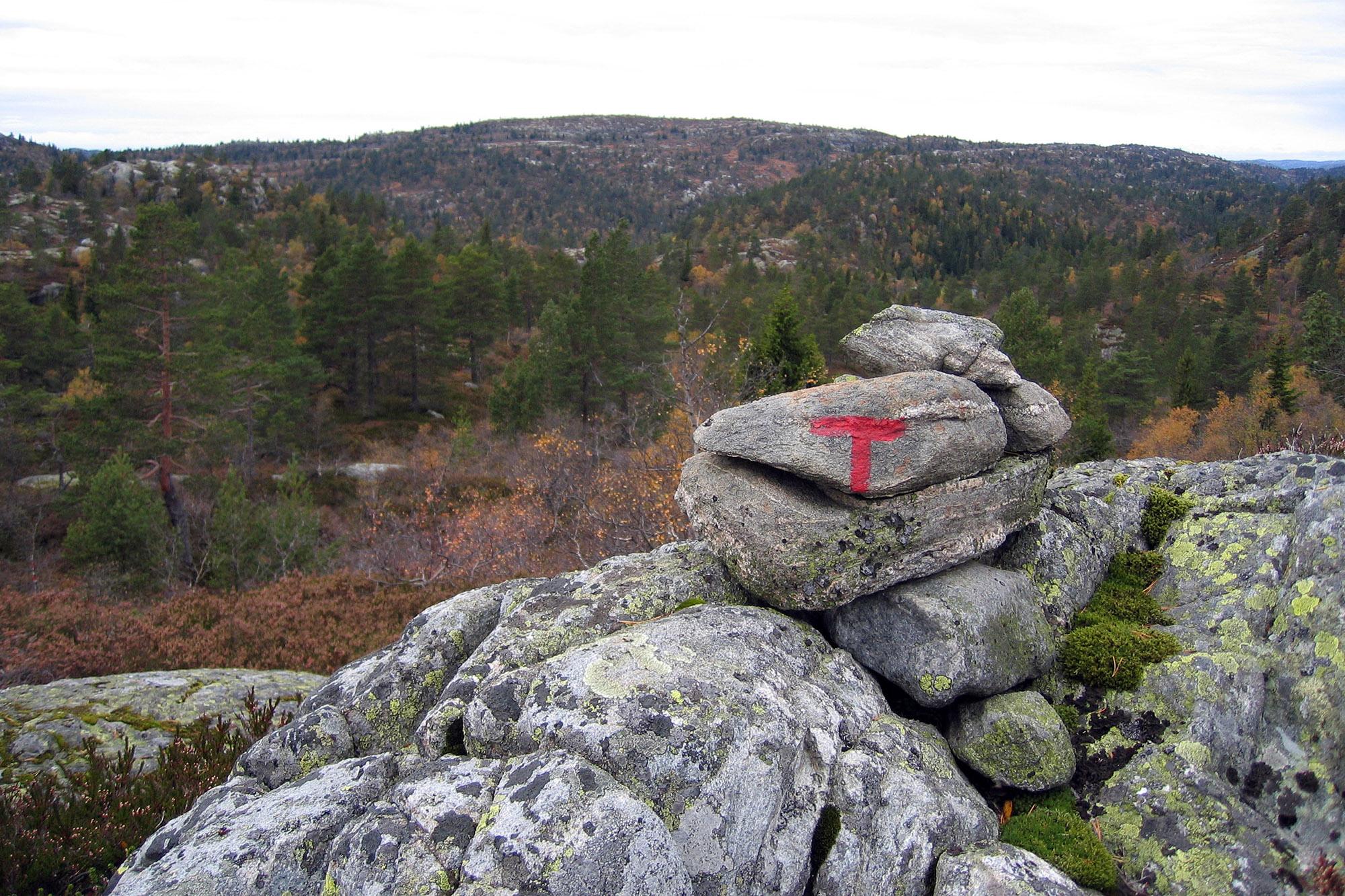 A pile of rocks in nature with a red "T" painted on the side by The Norwegian Trekking Association (DNT)