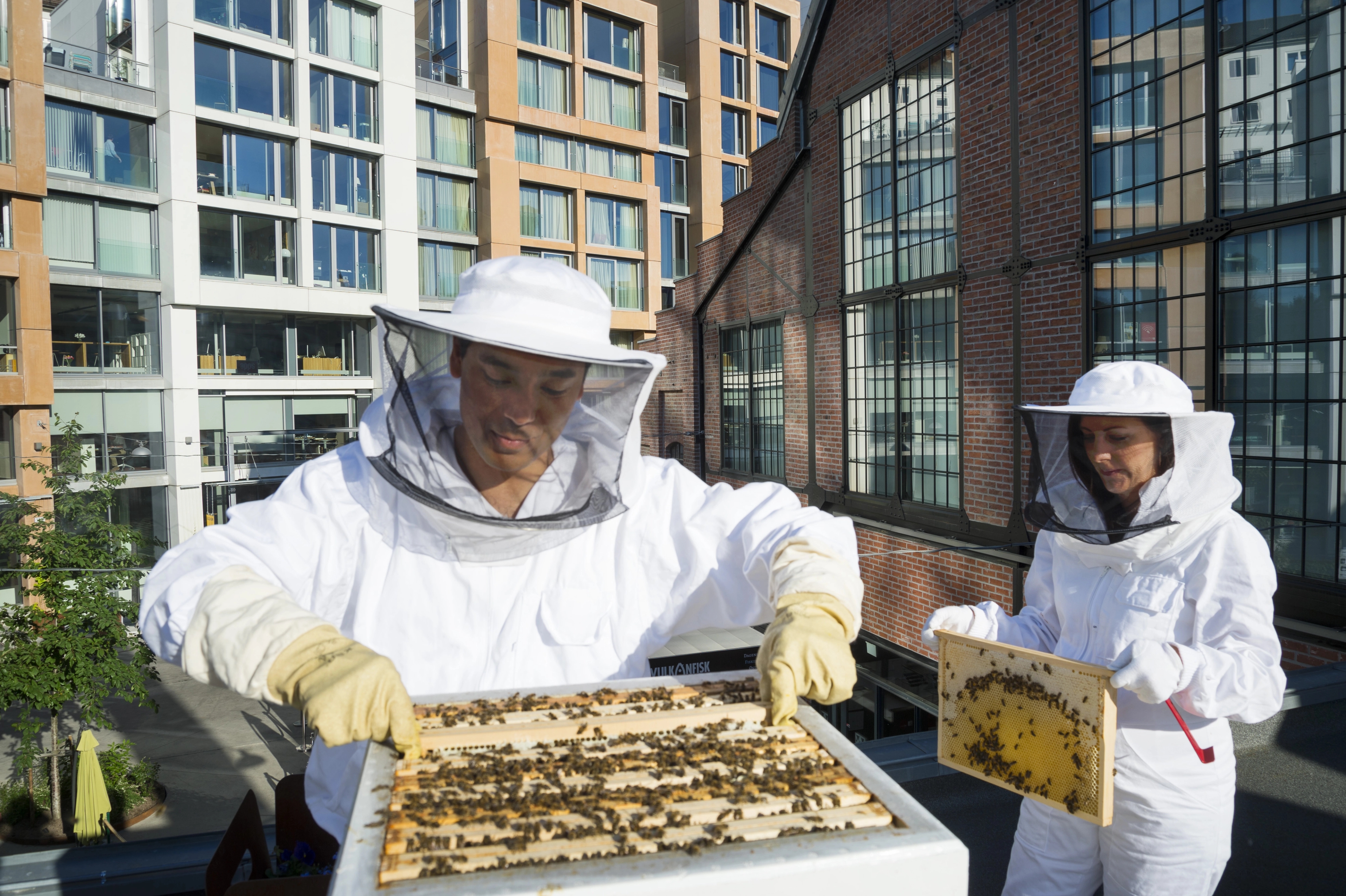Two beekeepers at Vulkan in Oslo, Eastern Norway