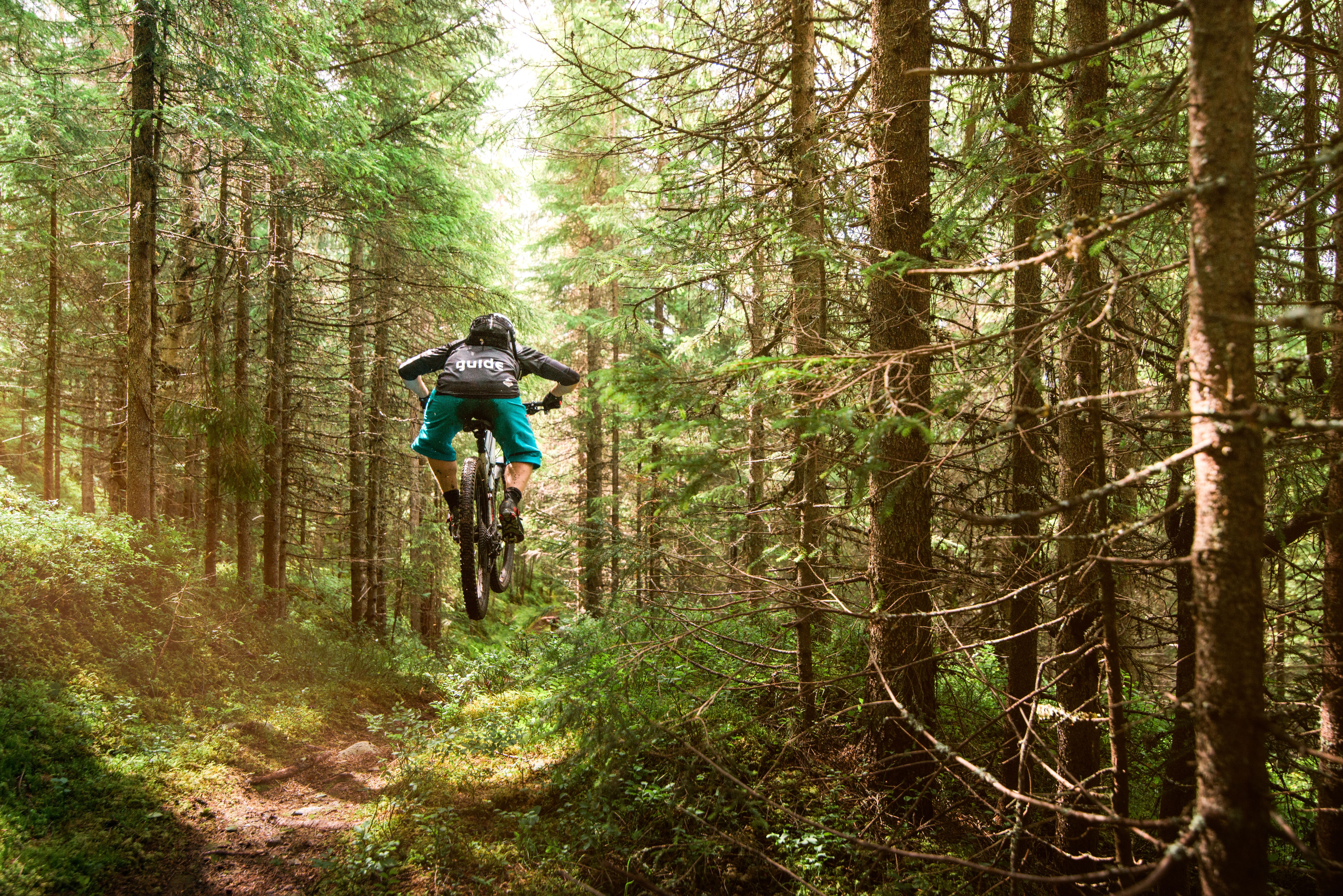 A person trail cycling in a forest in Trysil, Eastern Norway