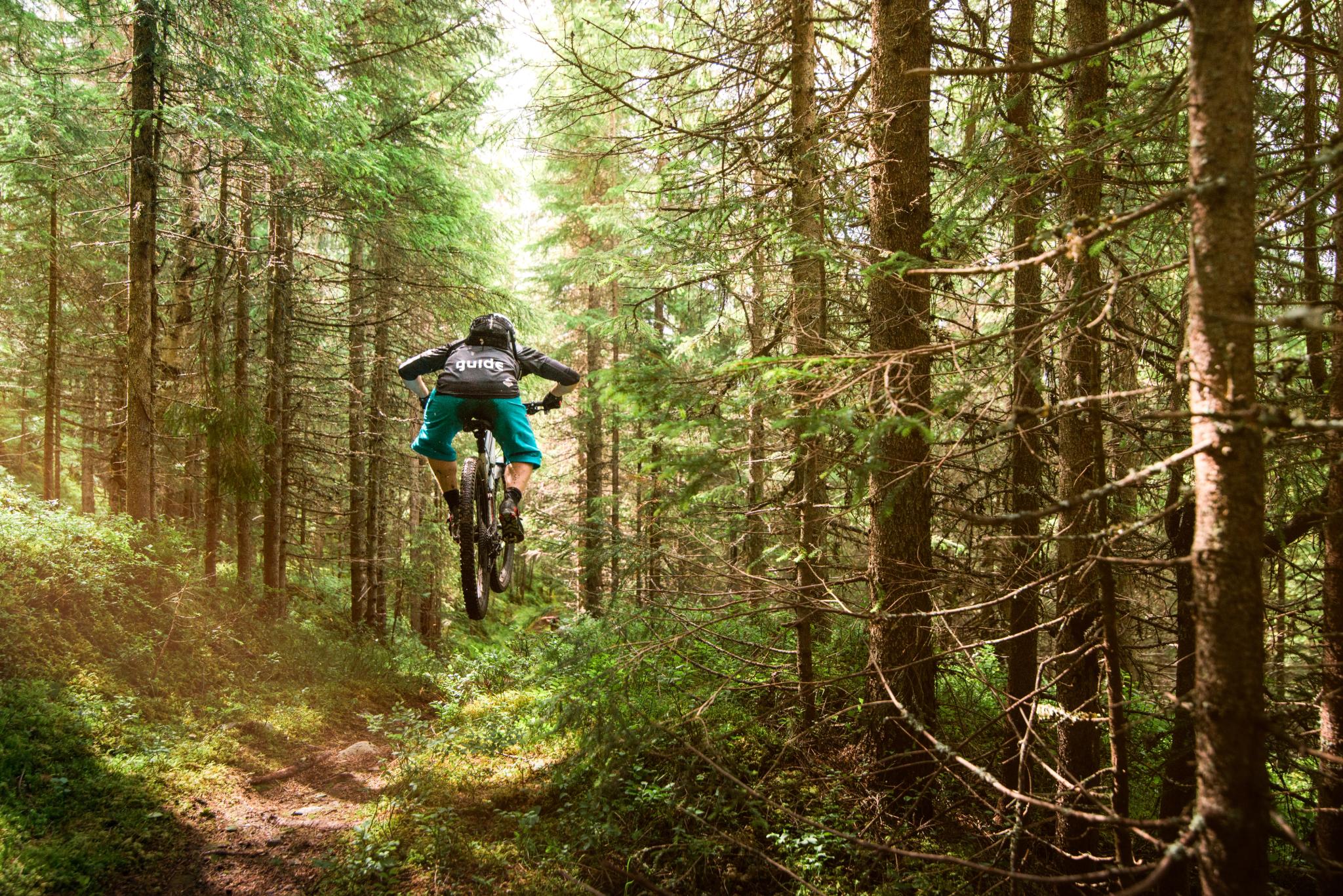 En person på mountainbike i en skov i Trysil, Norge