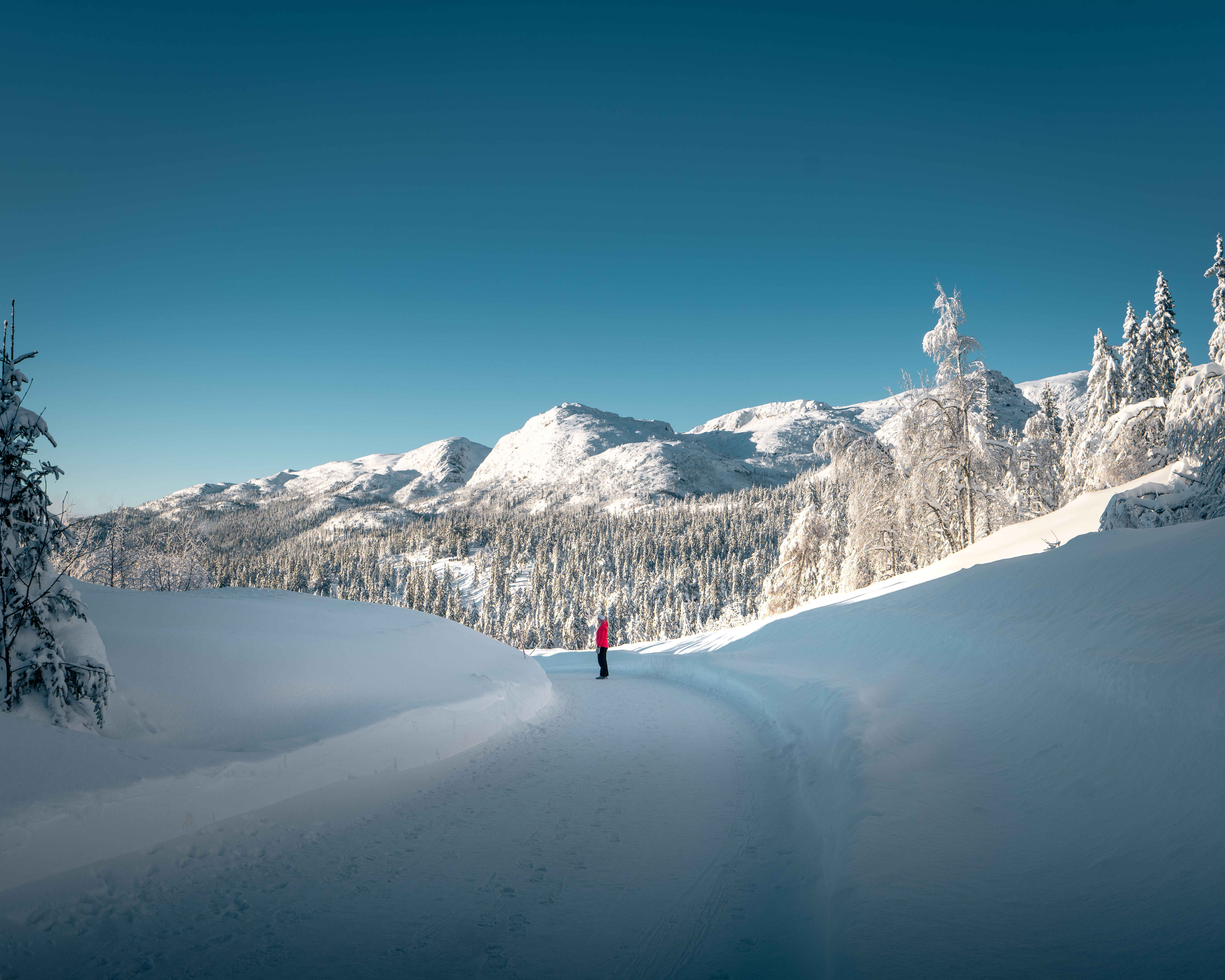 Woman standing on a road in winter landscape at Lifjell, Telemark