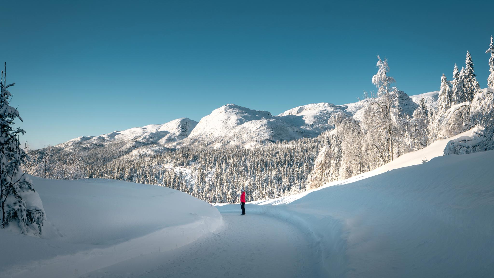 Woman standing on a road in winter landscape at Lifjell, Telemark