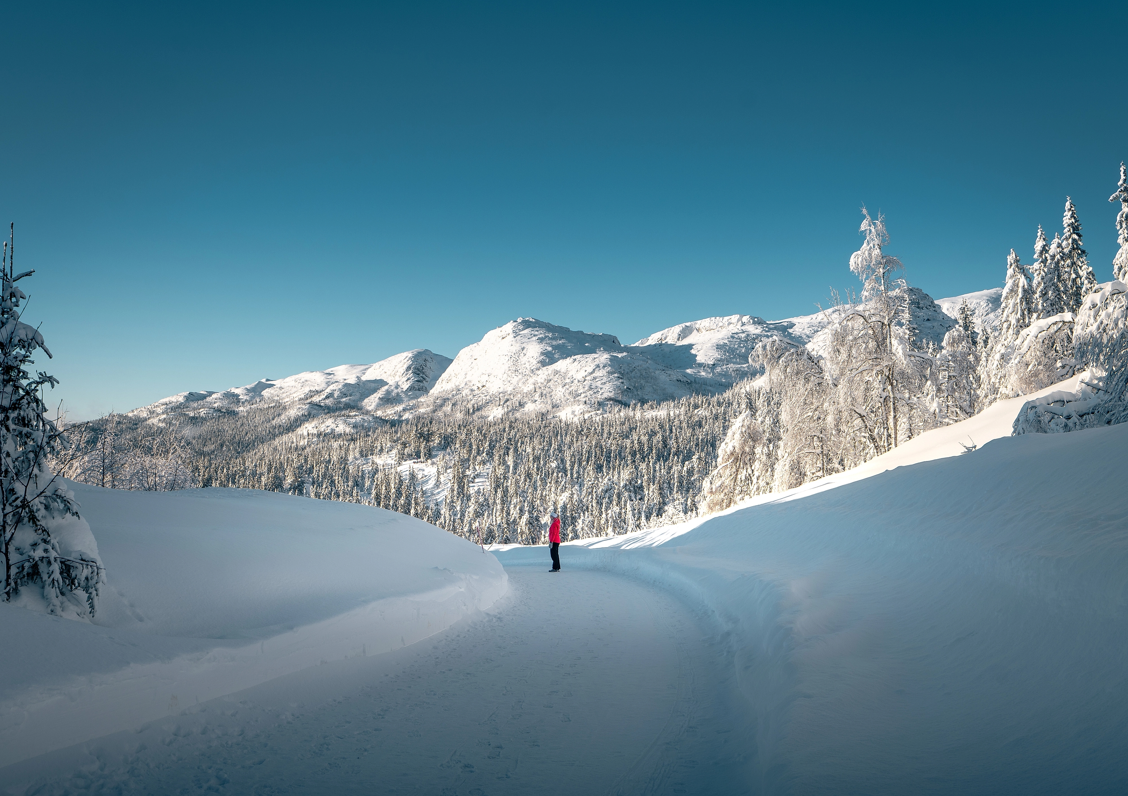 Woman standing on a road in winter landscape at Lifjell, Telemark