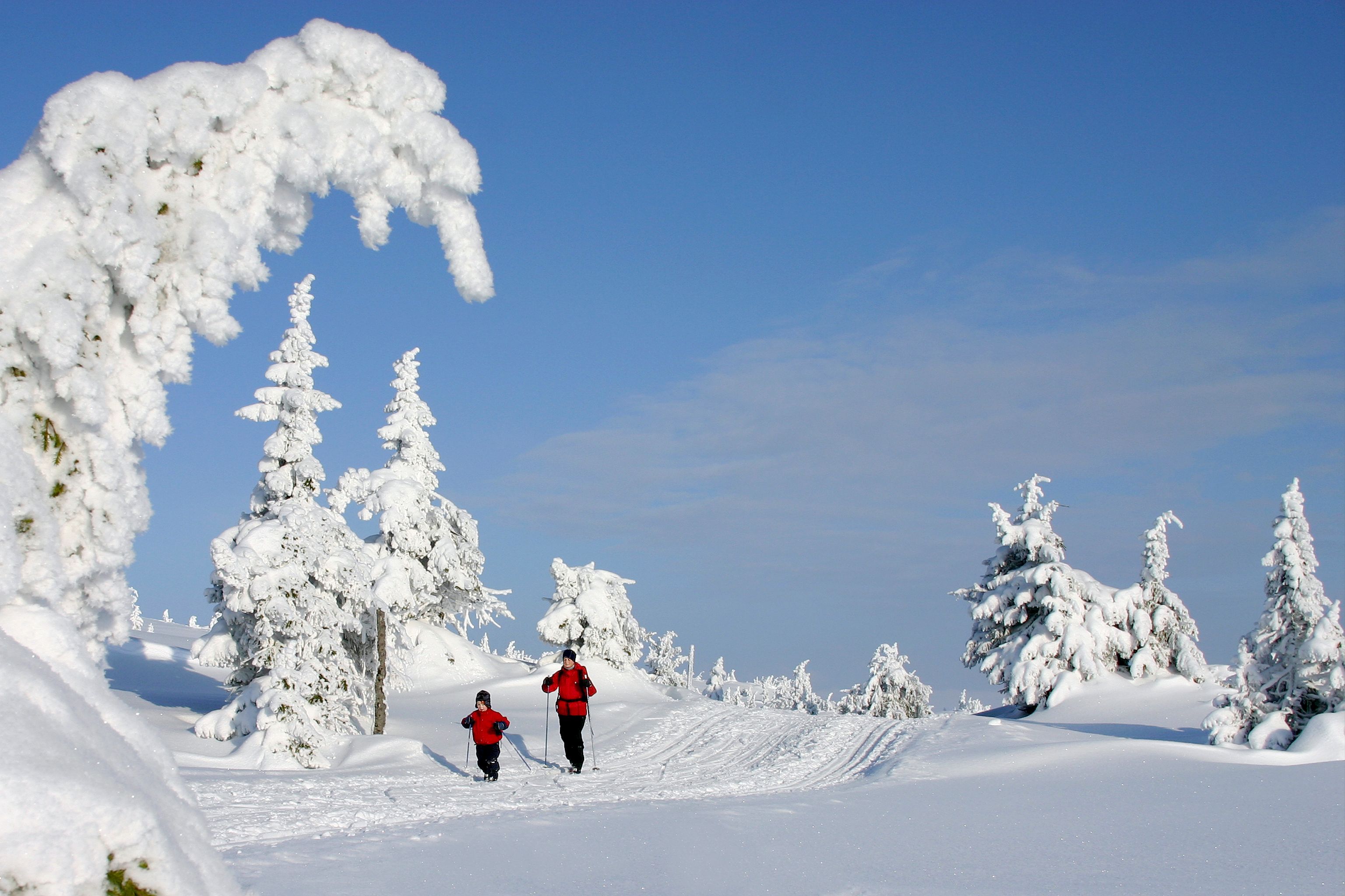 Cross-country skiing at Nordseter outside Lillehammer, Eastern Norway