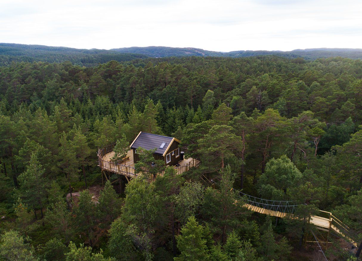 Gluba treetop cabin in Mandal, Southern Norway