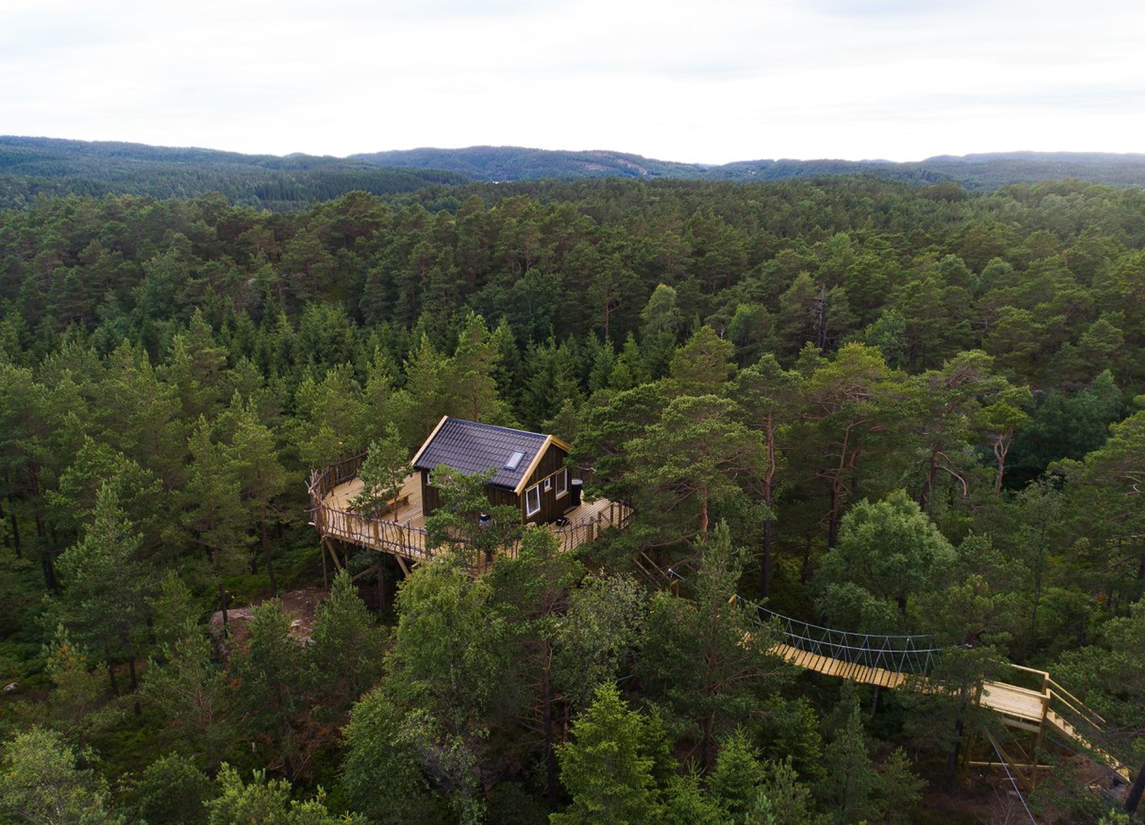 Gluba treetop cabin in Mandal, Southern Norway