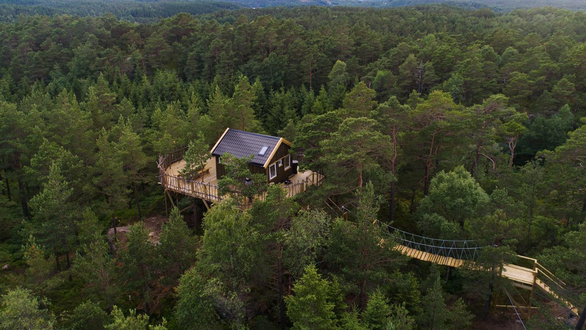Gluba treetop cabin in Mandal, Southern Norway