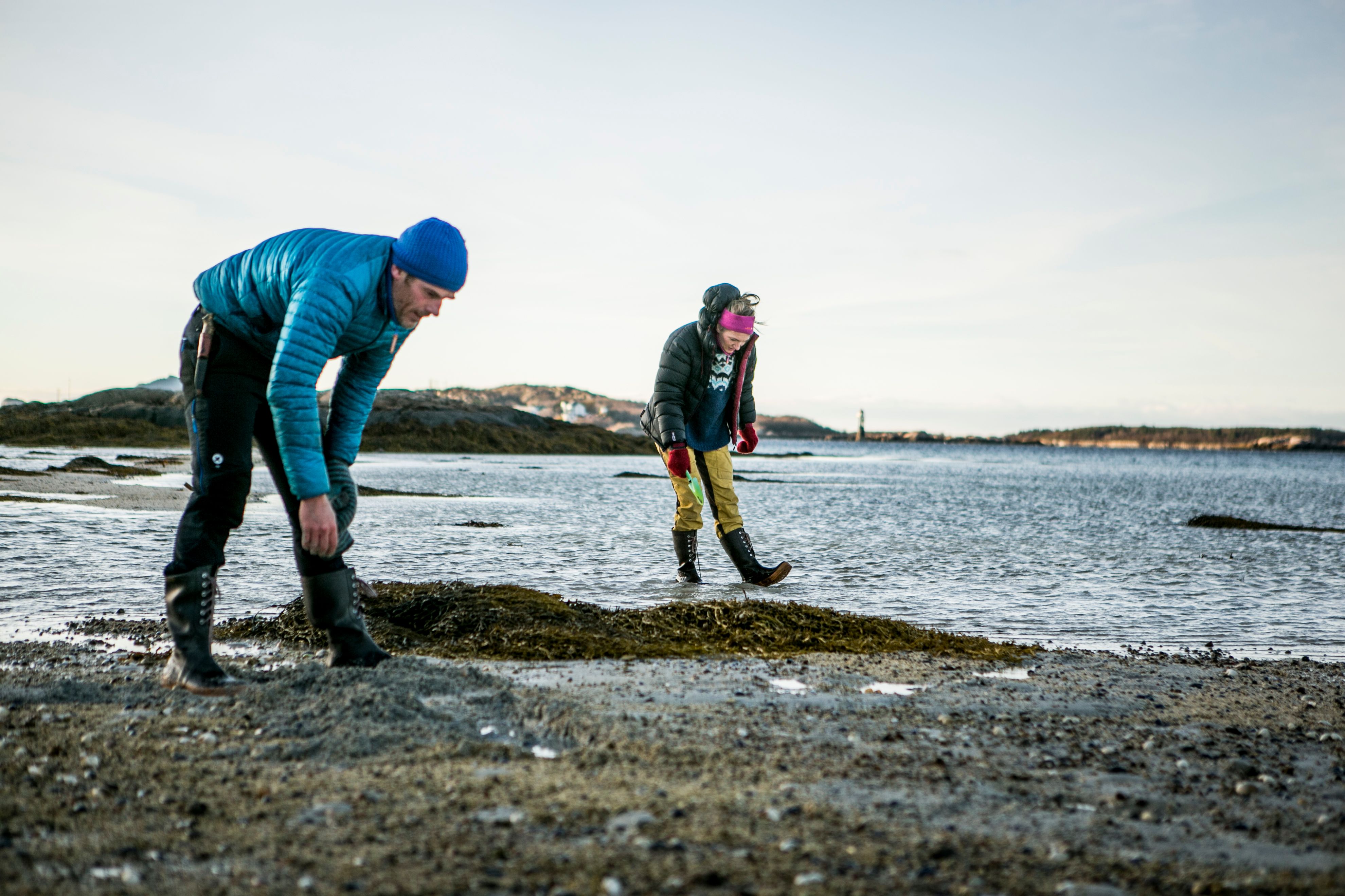 To personer på jakt etter sjømat i fjæra i Steigen i Nordland, Nord-Norge