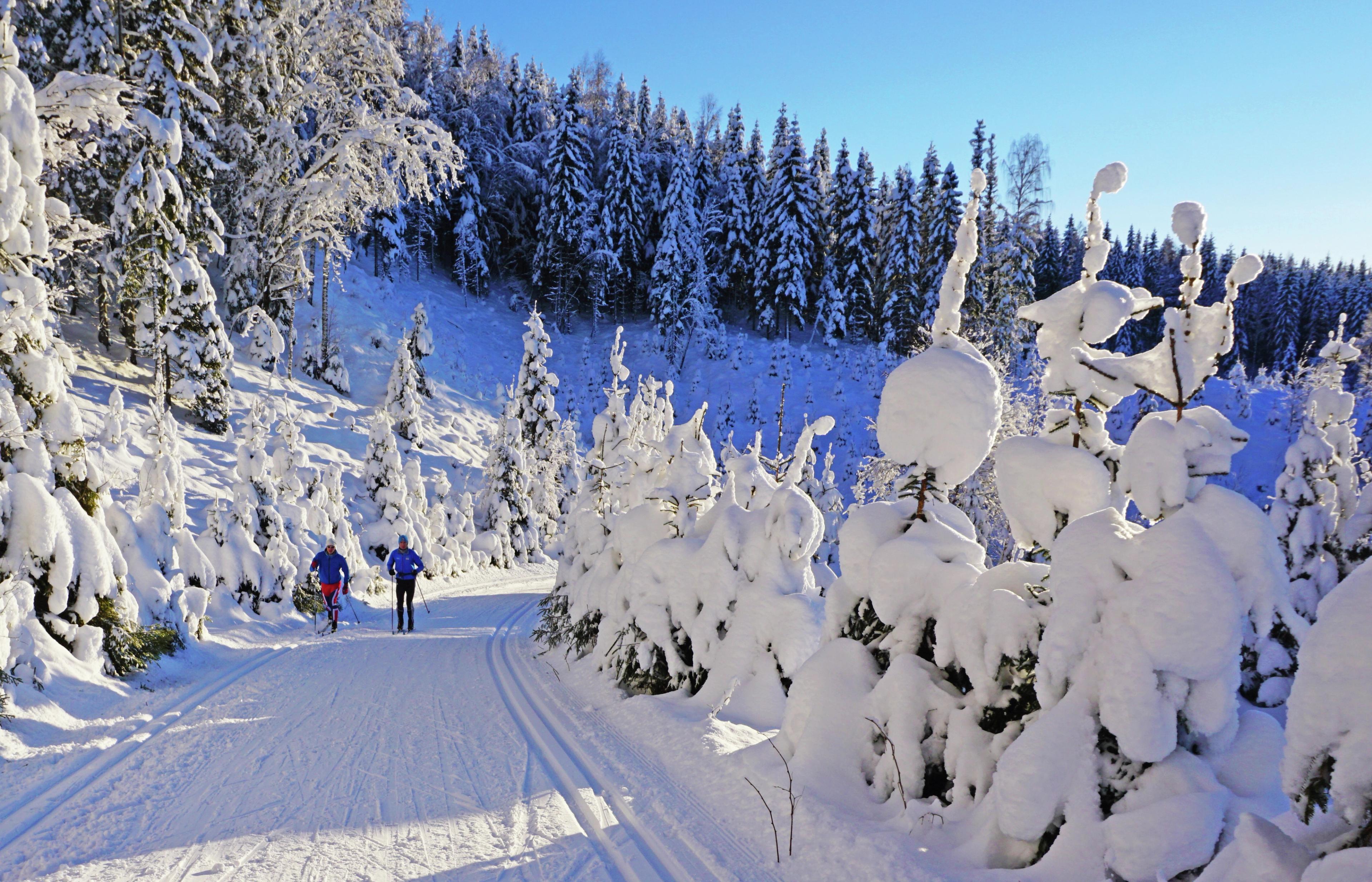 Winter wonderland - Nordmarka