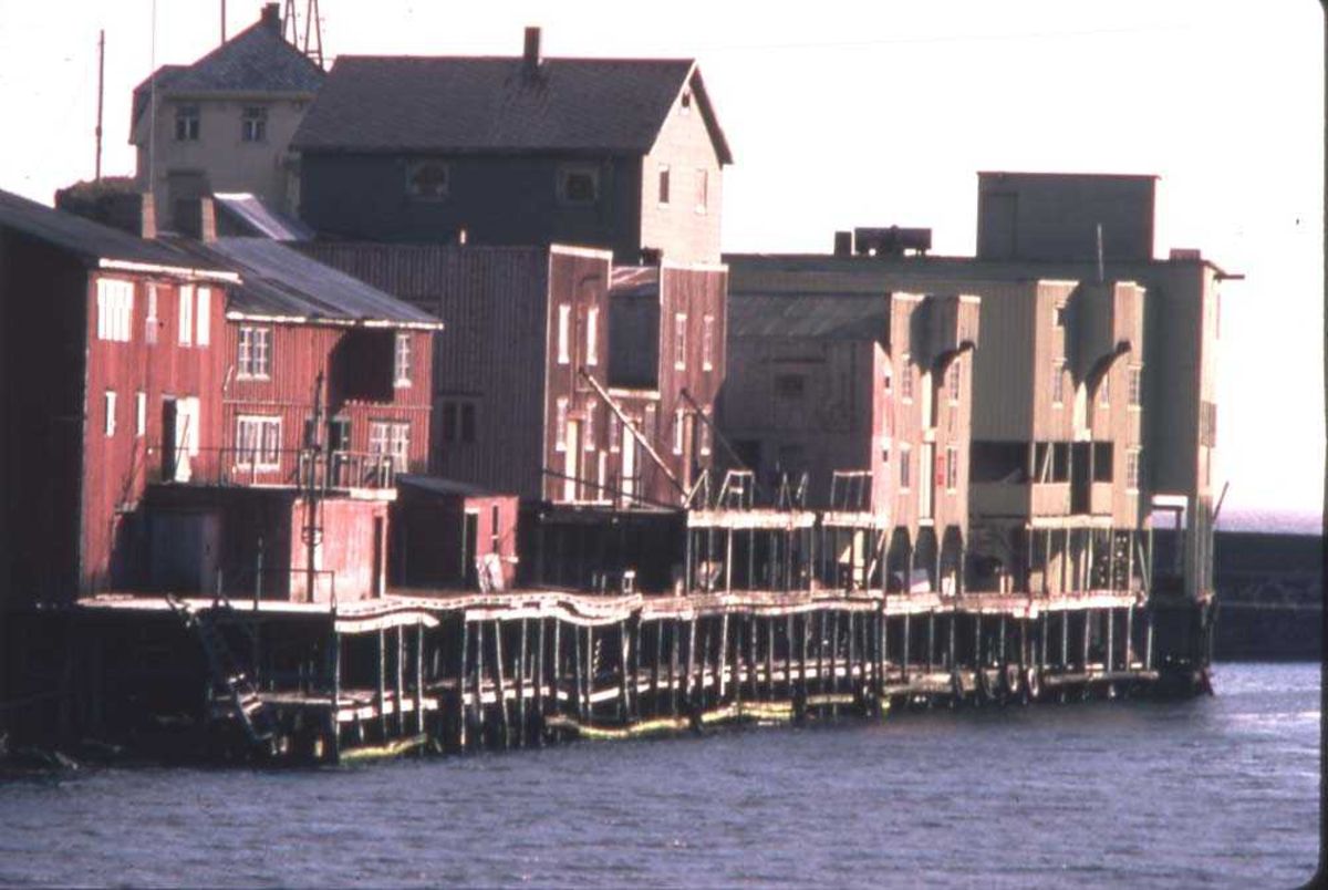 The harbor in Nyksund in 1975-1980