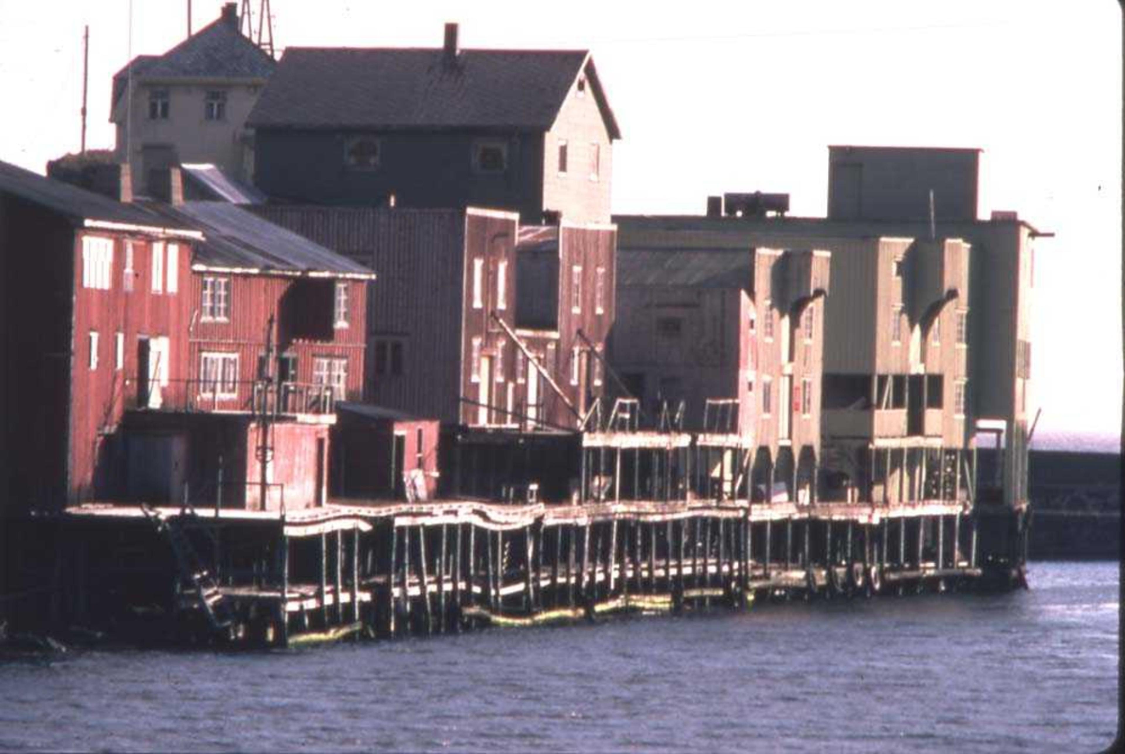 The harbor in Nyksund in 1975-1980