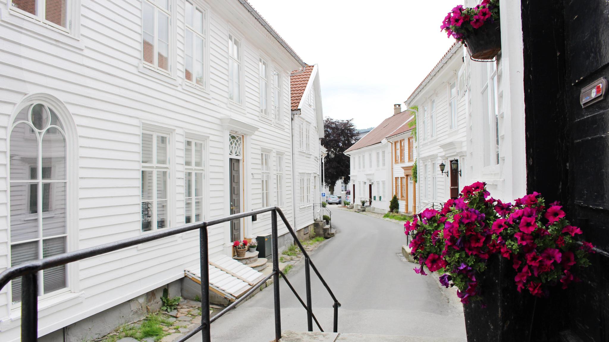 Flowers in Hollenderbyen, Flekkefjord, Norway