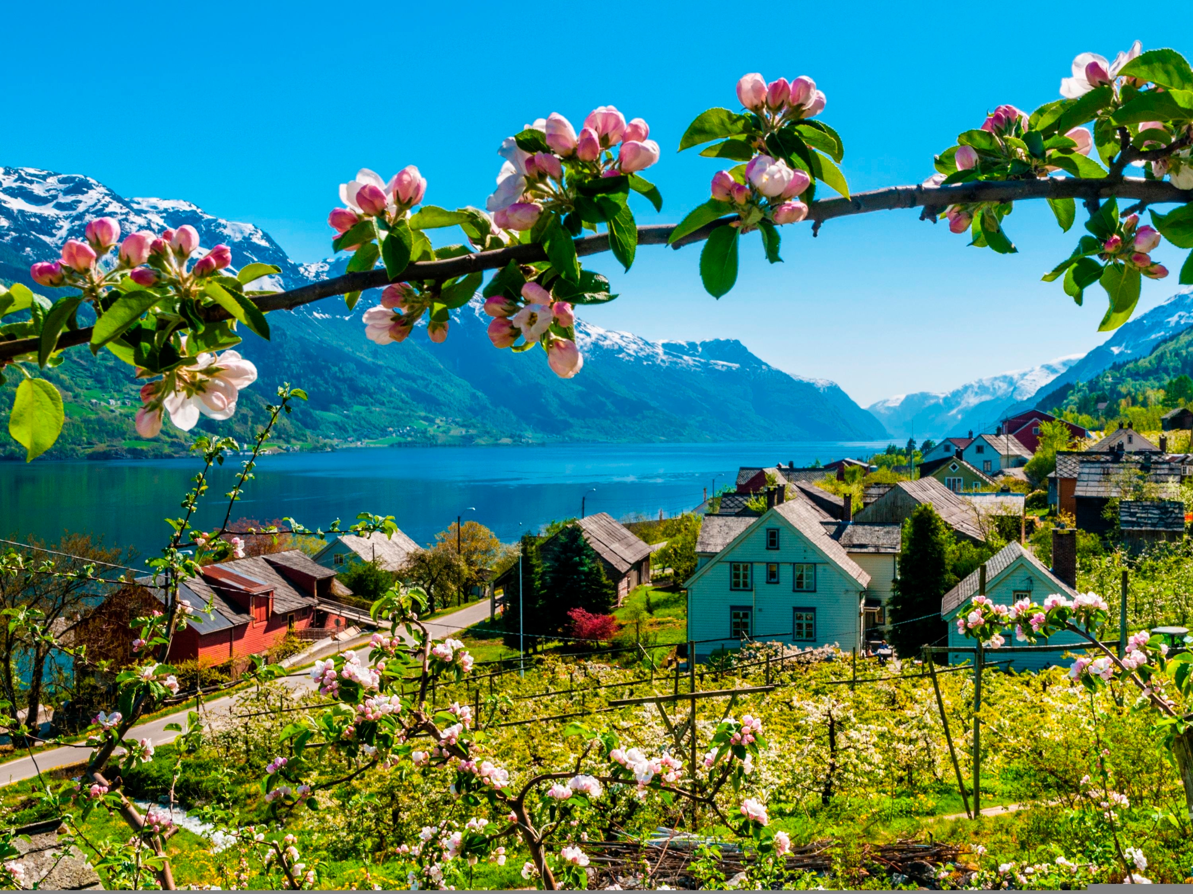 Hardangerfjord - Authentic Scandinavia