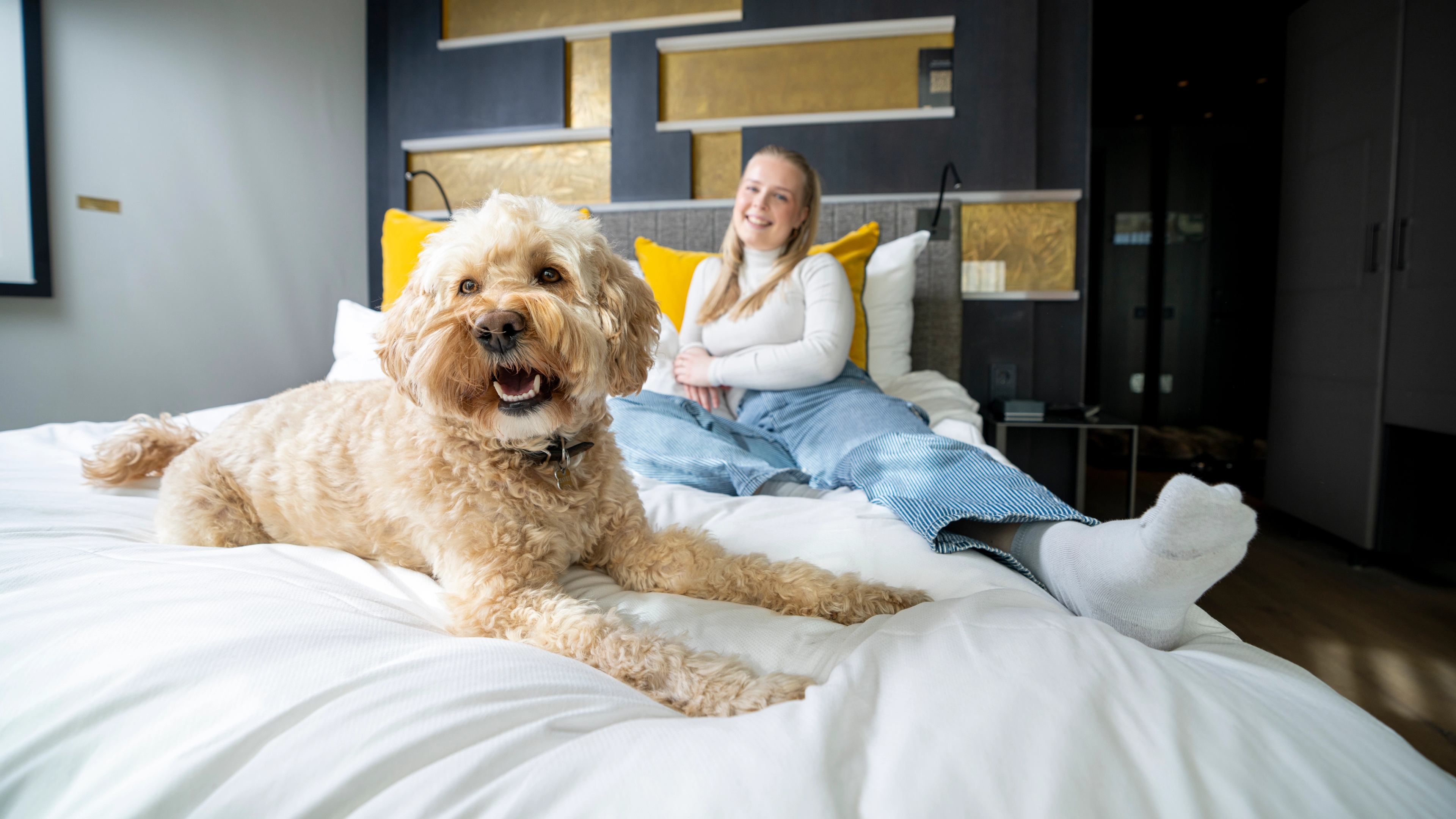 Dog room at The Thief hotel in Oslo, Eastern Norway