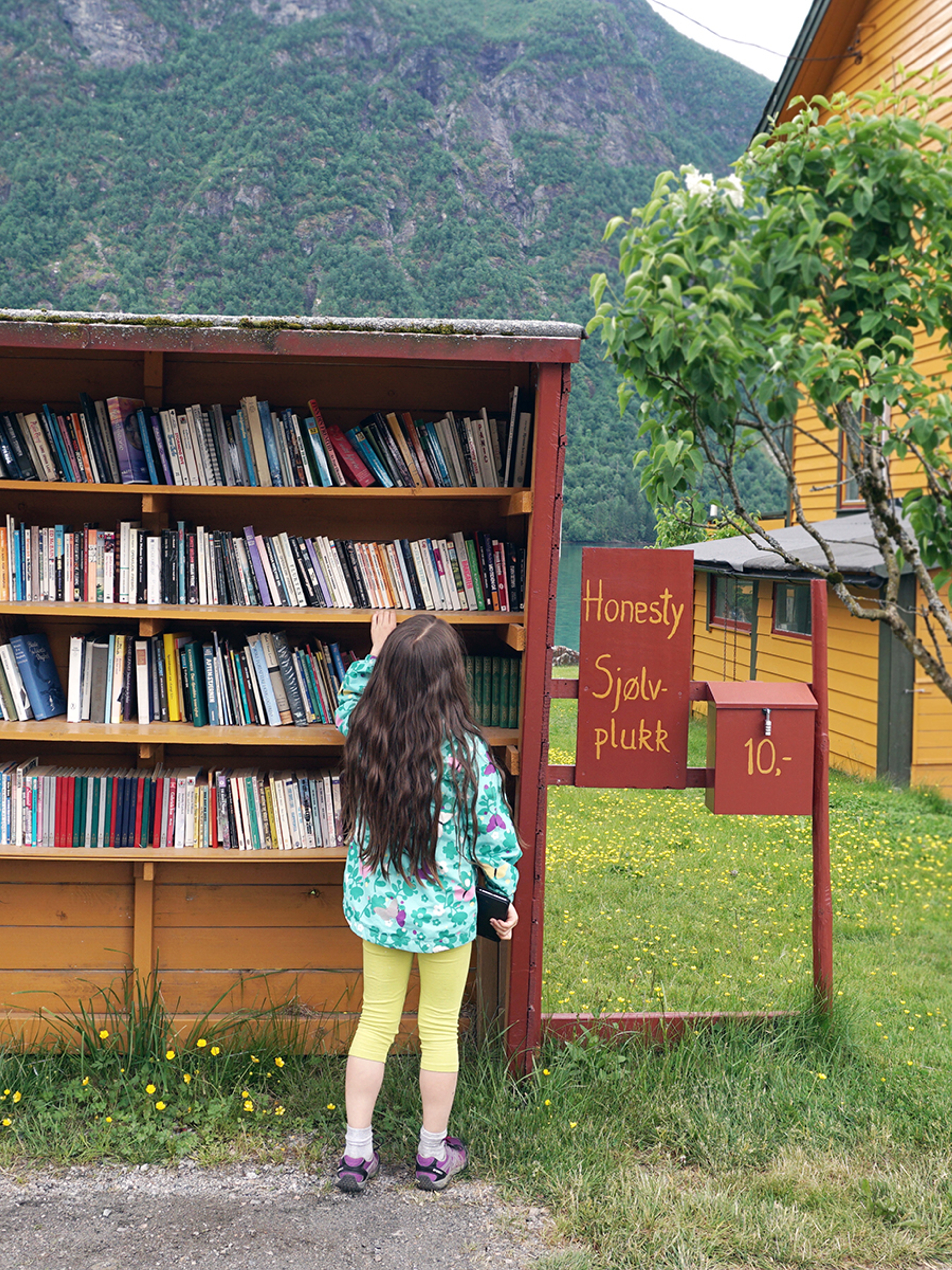 A girl is browsing books in the outdoor bookshop Sjølvplukk in The Norwegian book town in Fjærland, Sogn og Fjordane