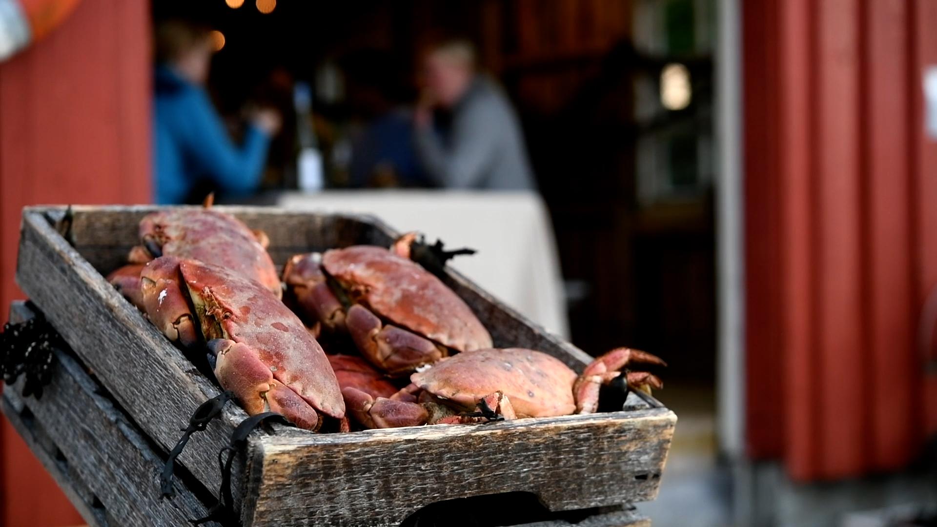 Crab at the menu at Ansnes Brygger at Hitra