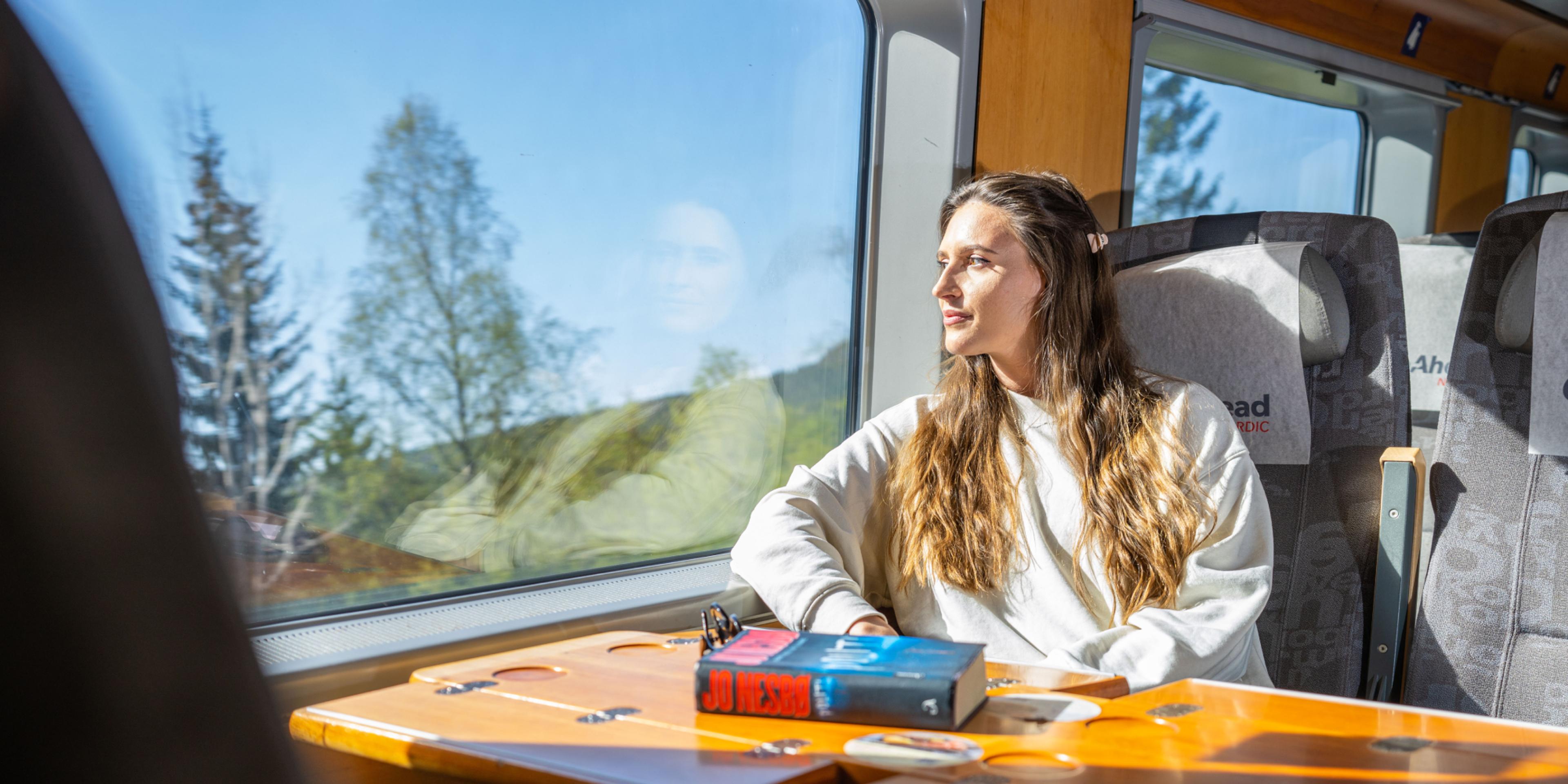 A woman riding the Sørland Line train from Oslo to Stavanger, Norway