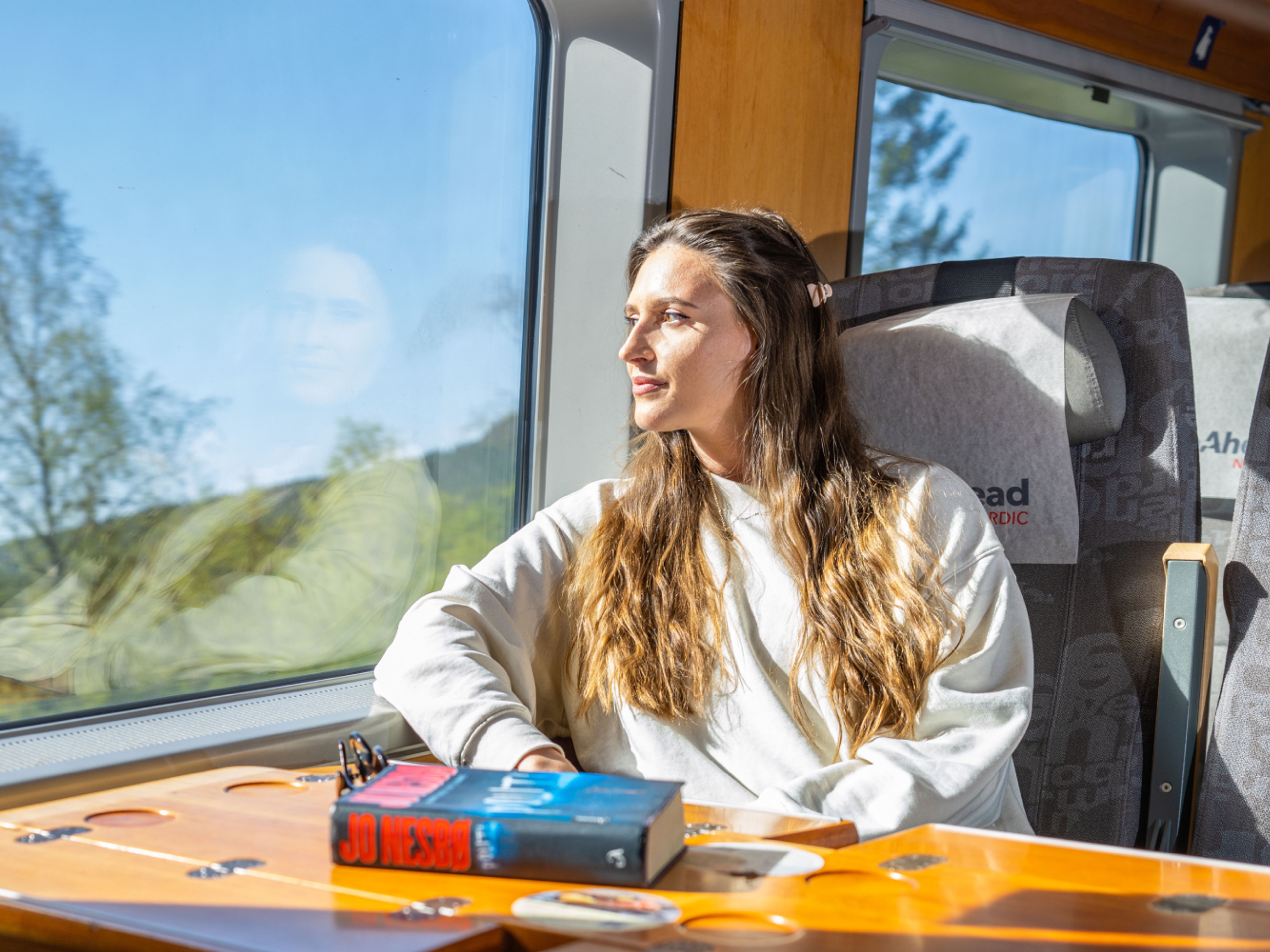 A woman riding the Sørland Line train from Oslo to Stavanger, Norway