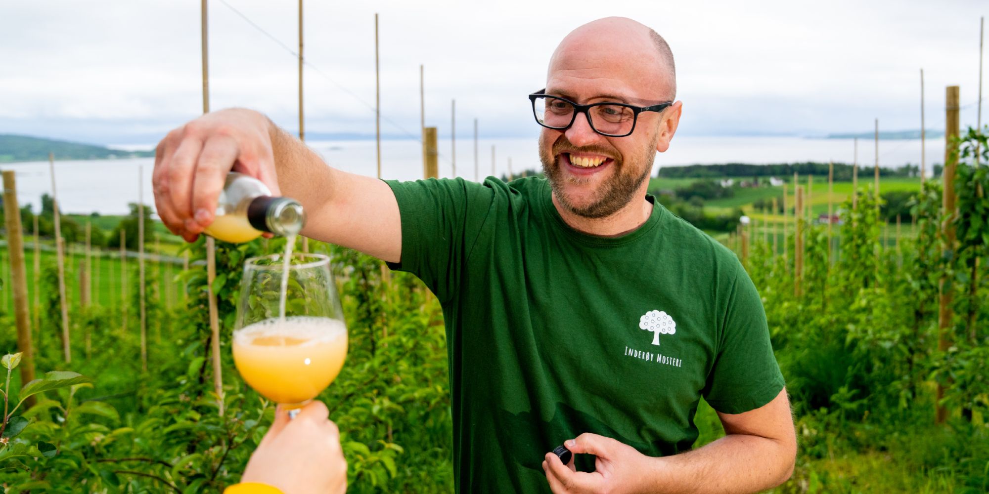 Apple juice on an orchad in Inderøy in Norway.
