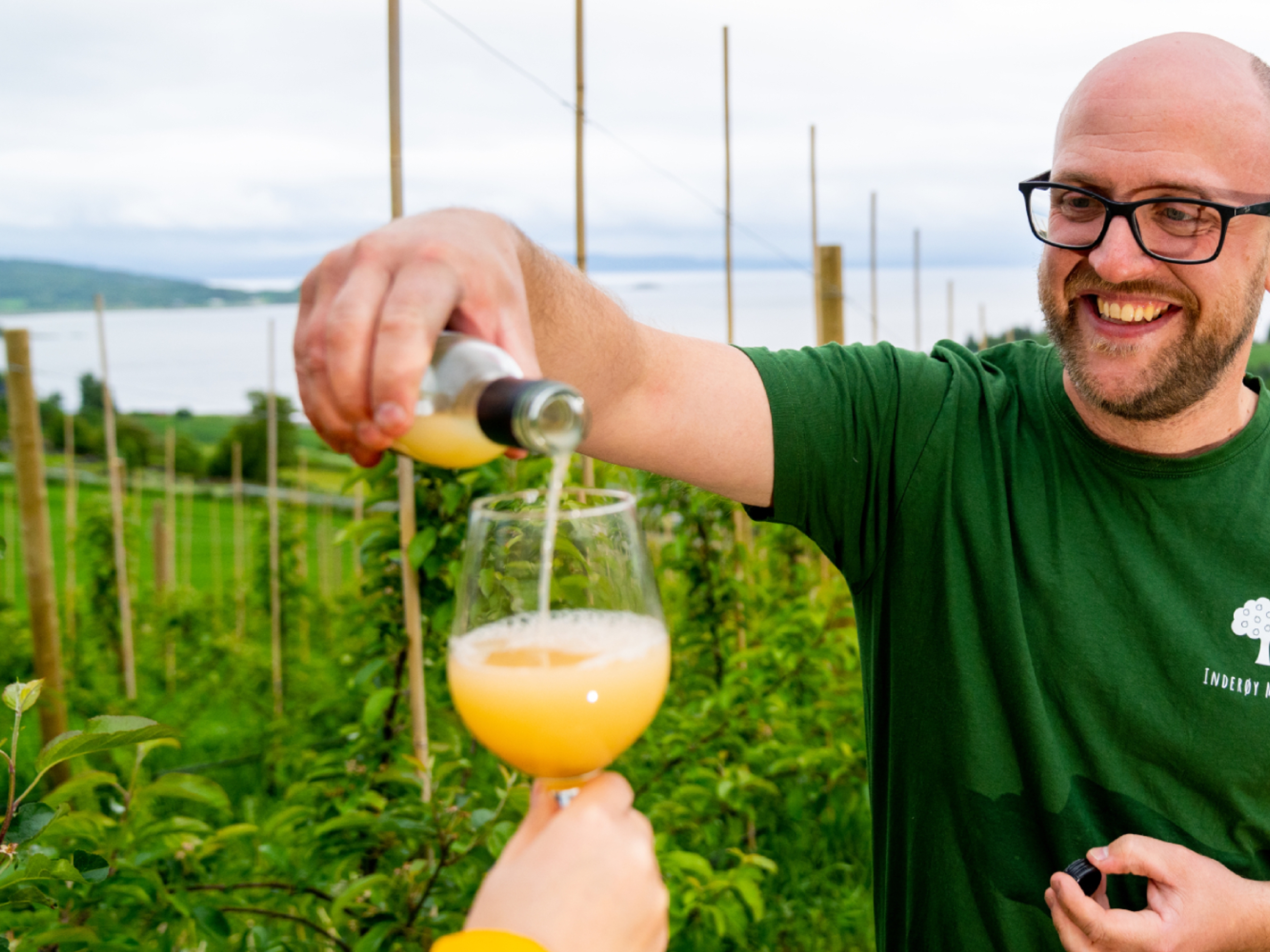 Apple juice on an orchad in Inderøy in Norway.