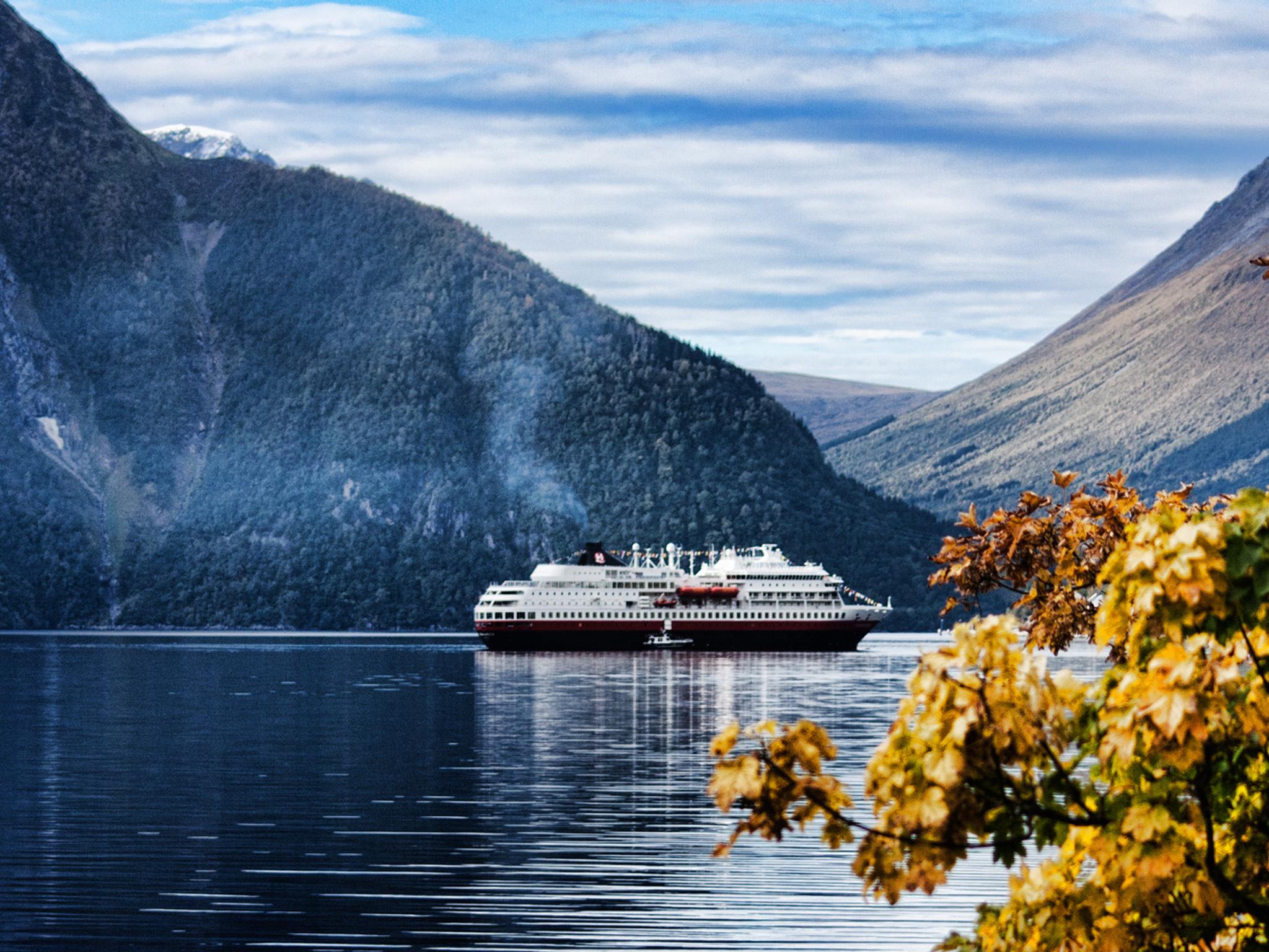 Autumn leaves and the hurtigruten steamer in the fjord