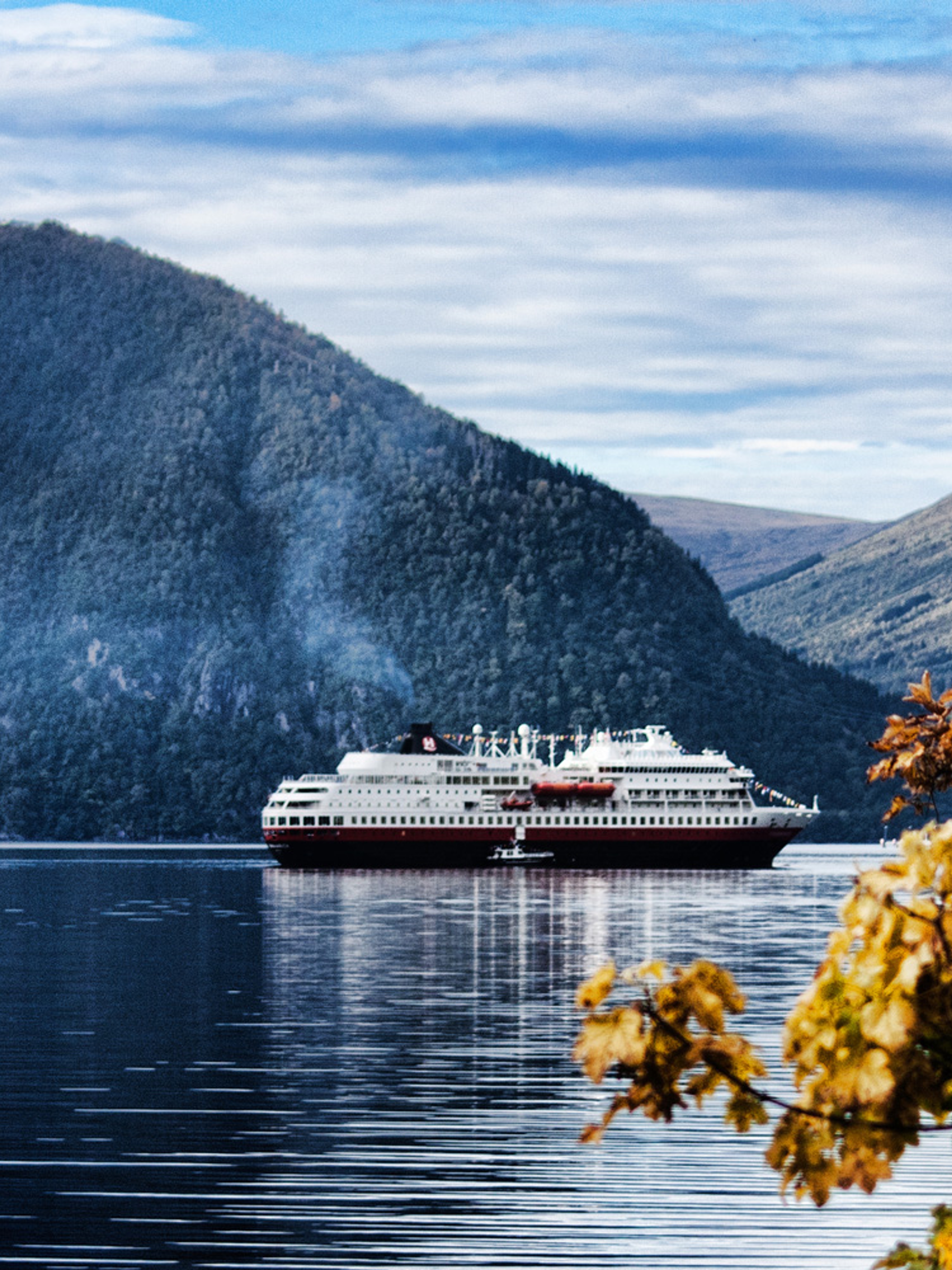 Autumn leaves and the hurtigruten steamer in the fjord