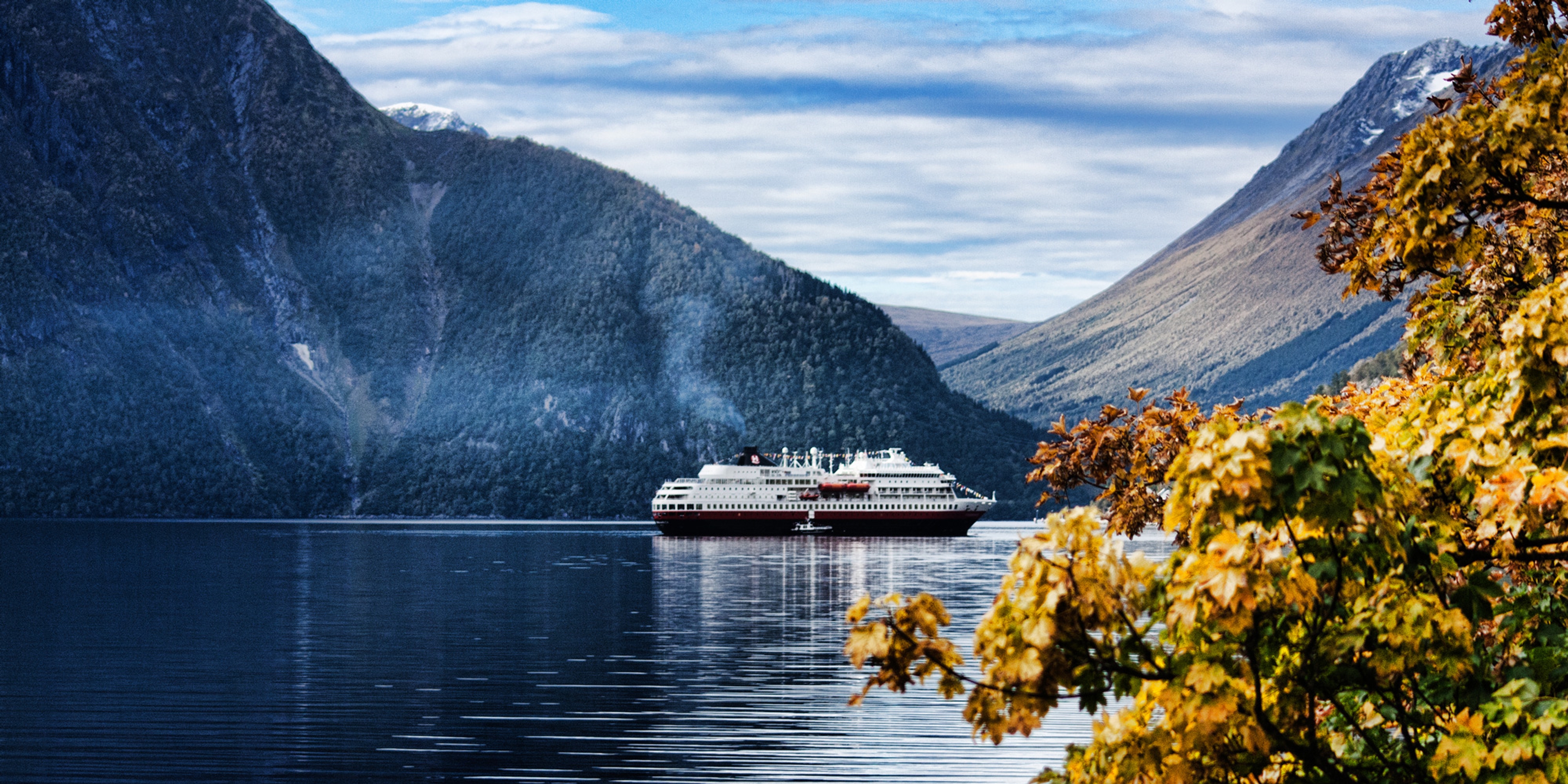 Autumn leaves and the hurtigruten steamer in the fjord