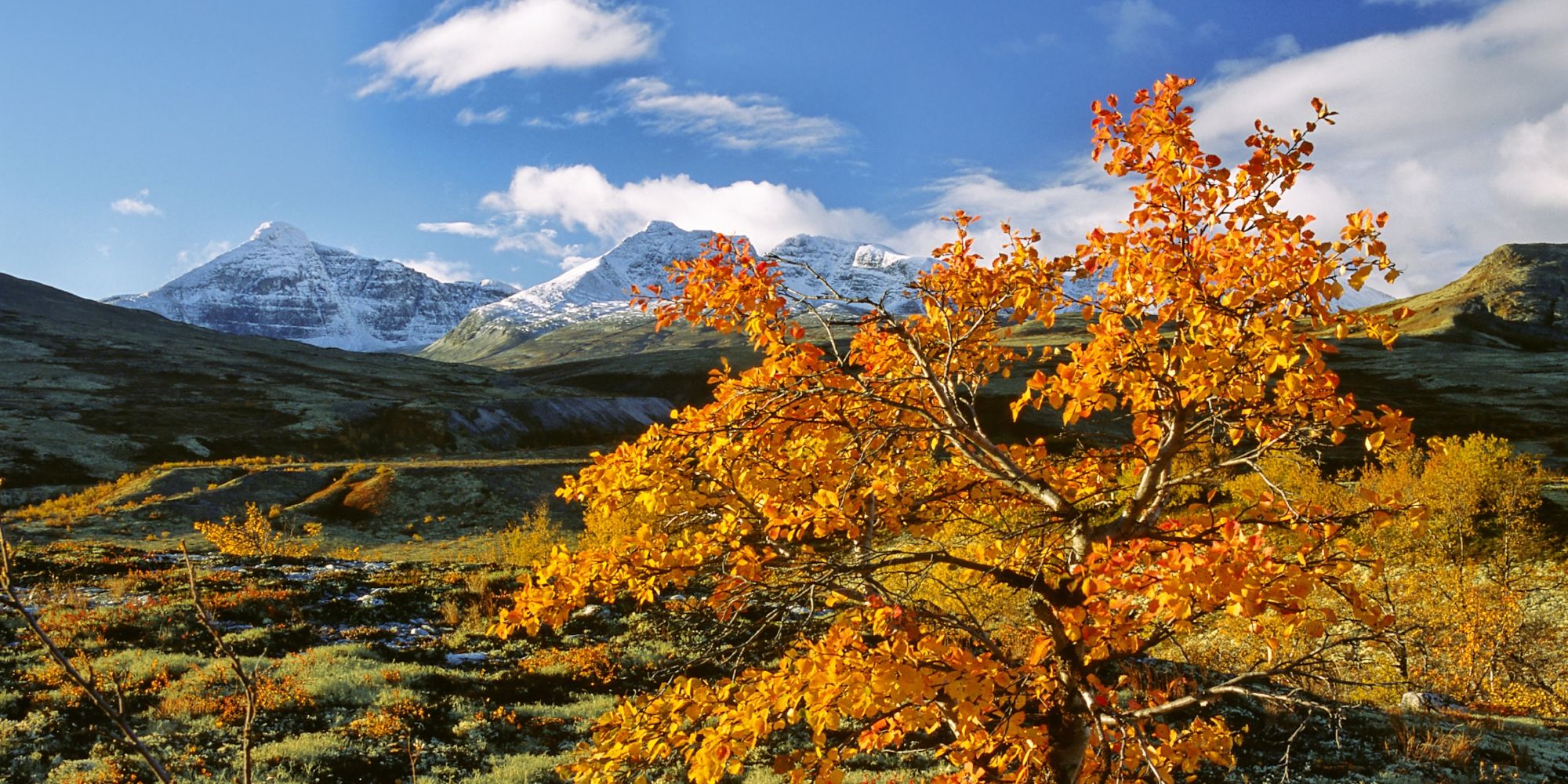 Autumn colours in Døråldalen