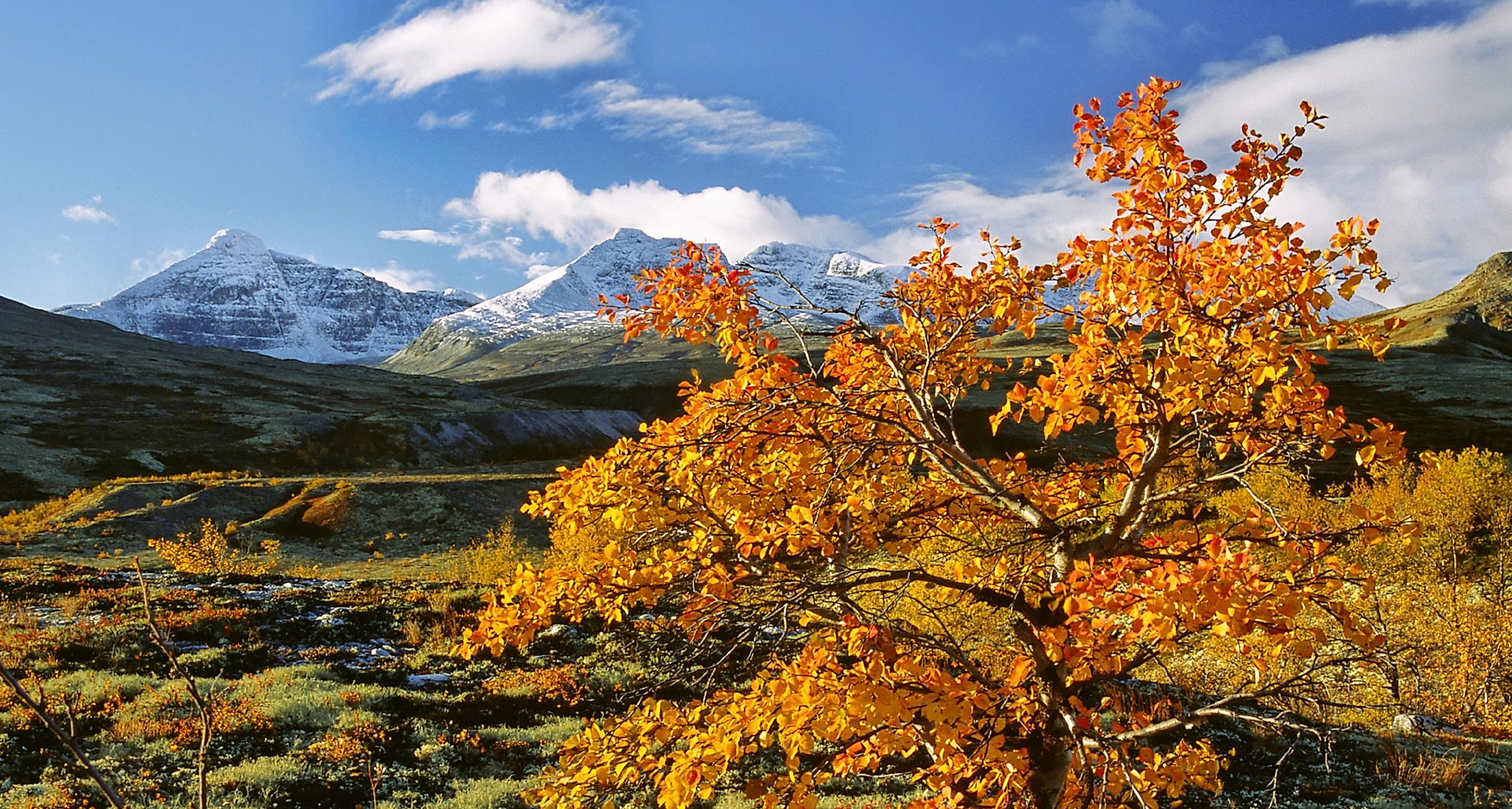 Autumn colours in Døråldalen