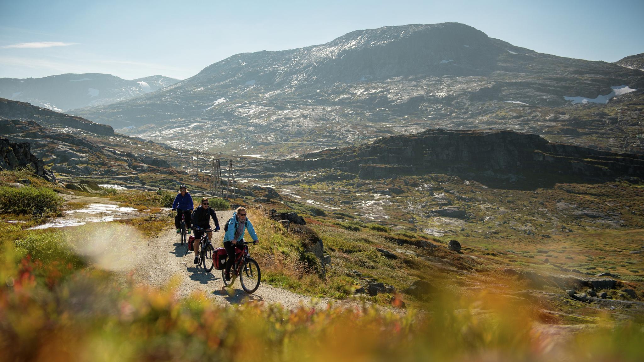 Cyklister på Norges populäraste cykelled Rallarvegen