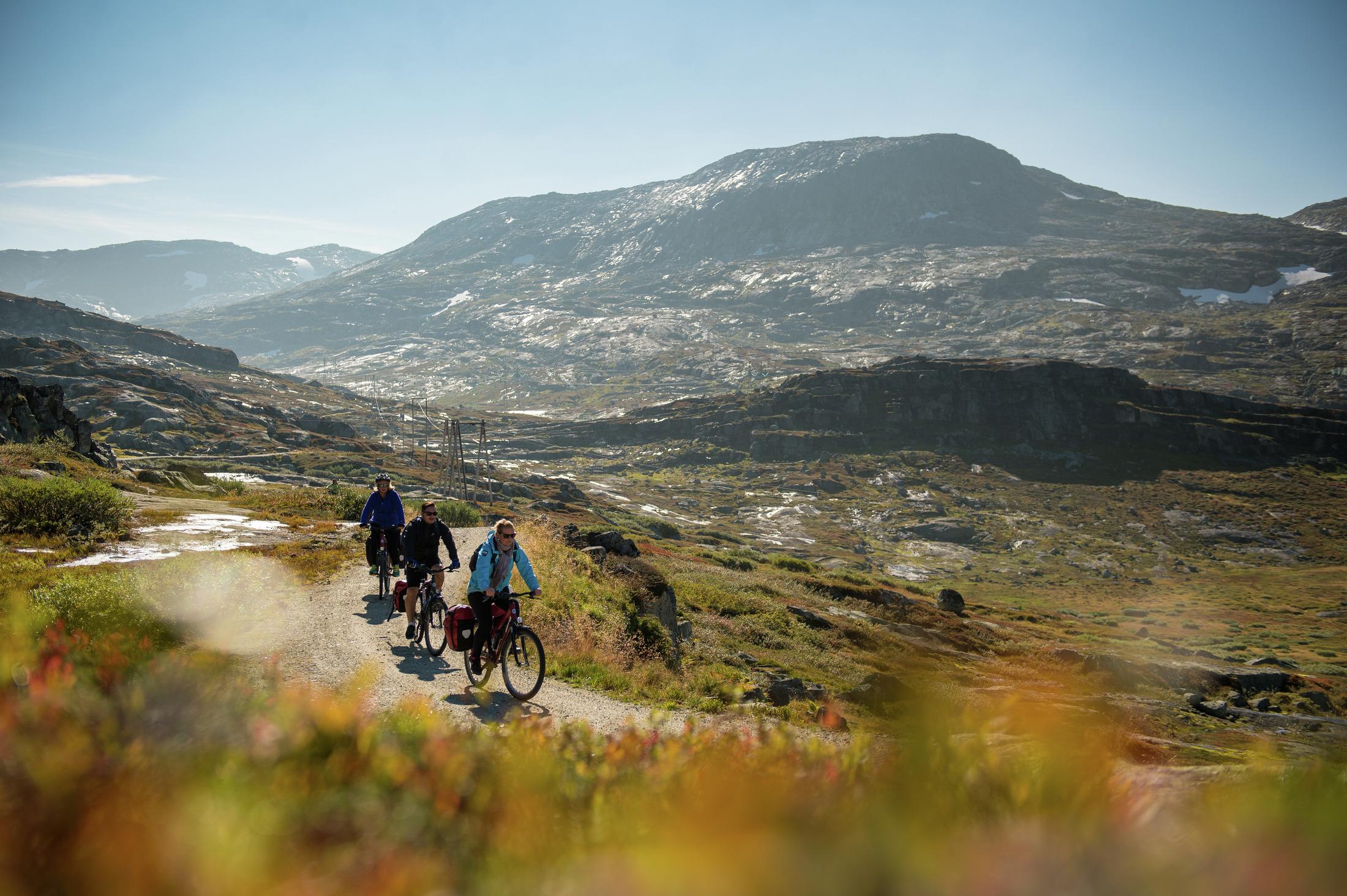Varios ciclistas recorren la ruta Rallarvegen, en la Noruega de los fiordos.