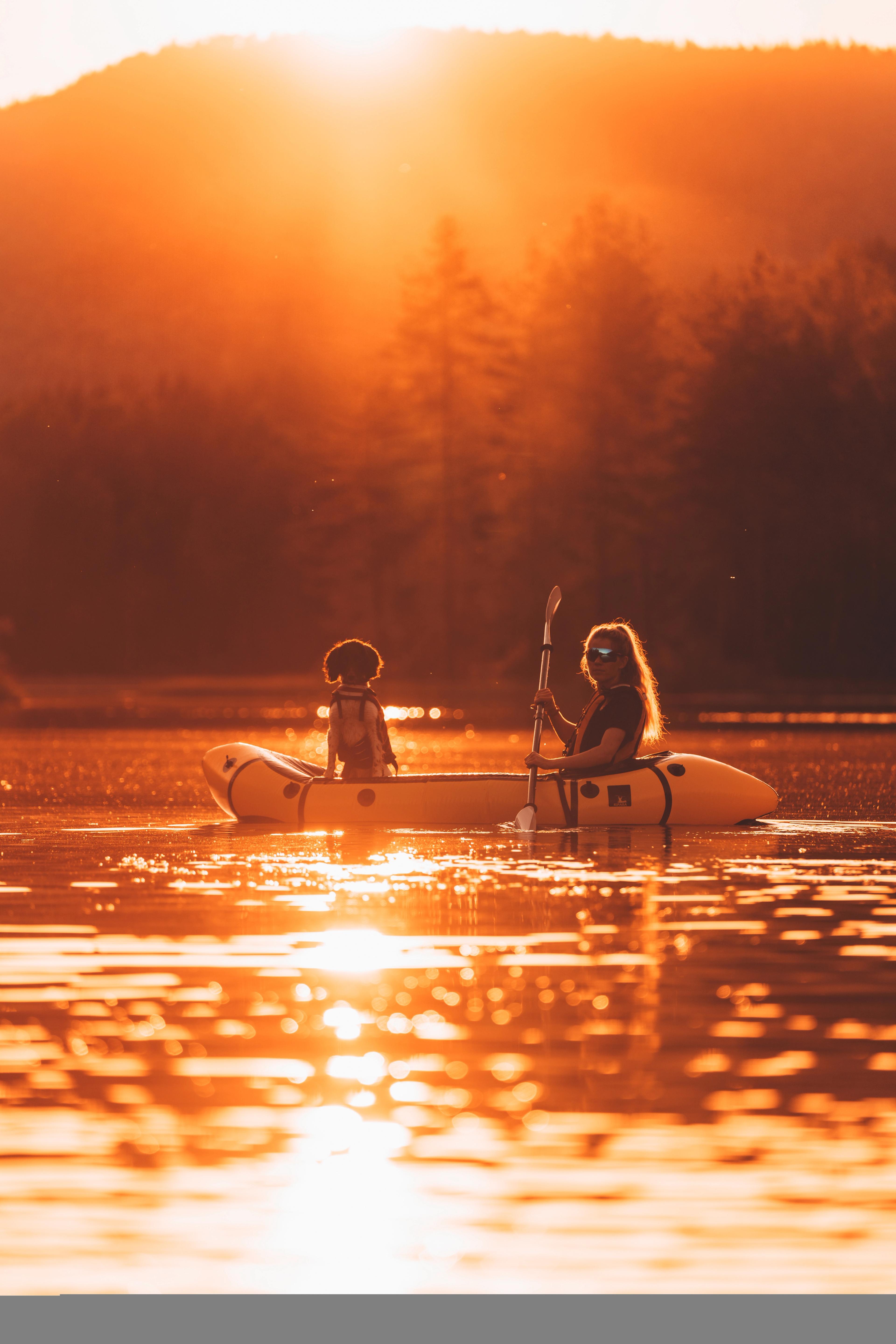 Canoeing with a dog in Majordammen in Drammen, Eastern Norway