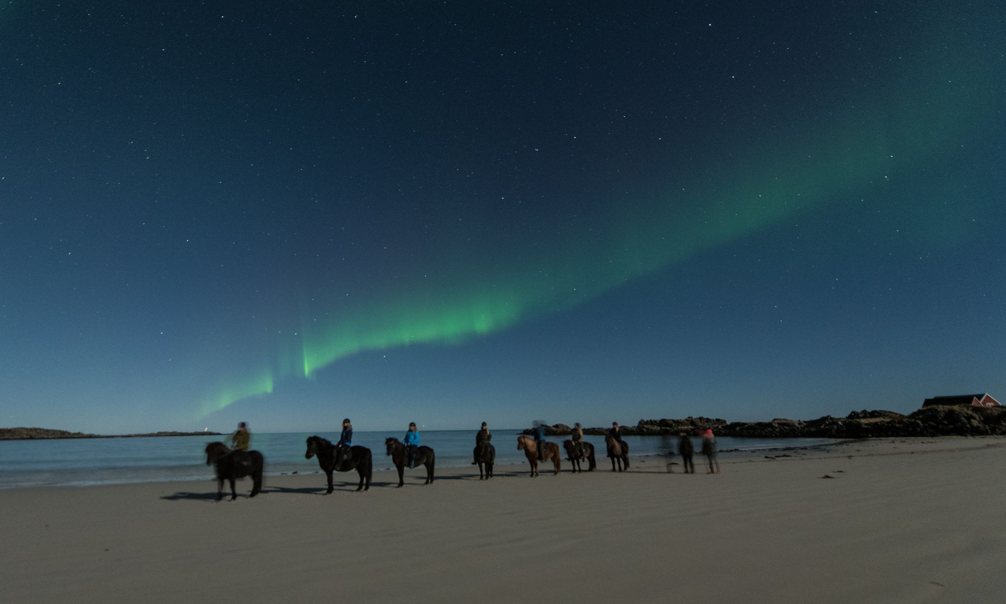 A group of people are riding under the northern lights on a beach in Lofoten, Northern Norway