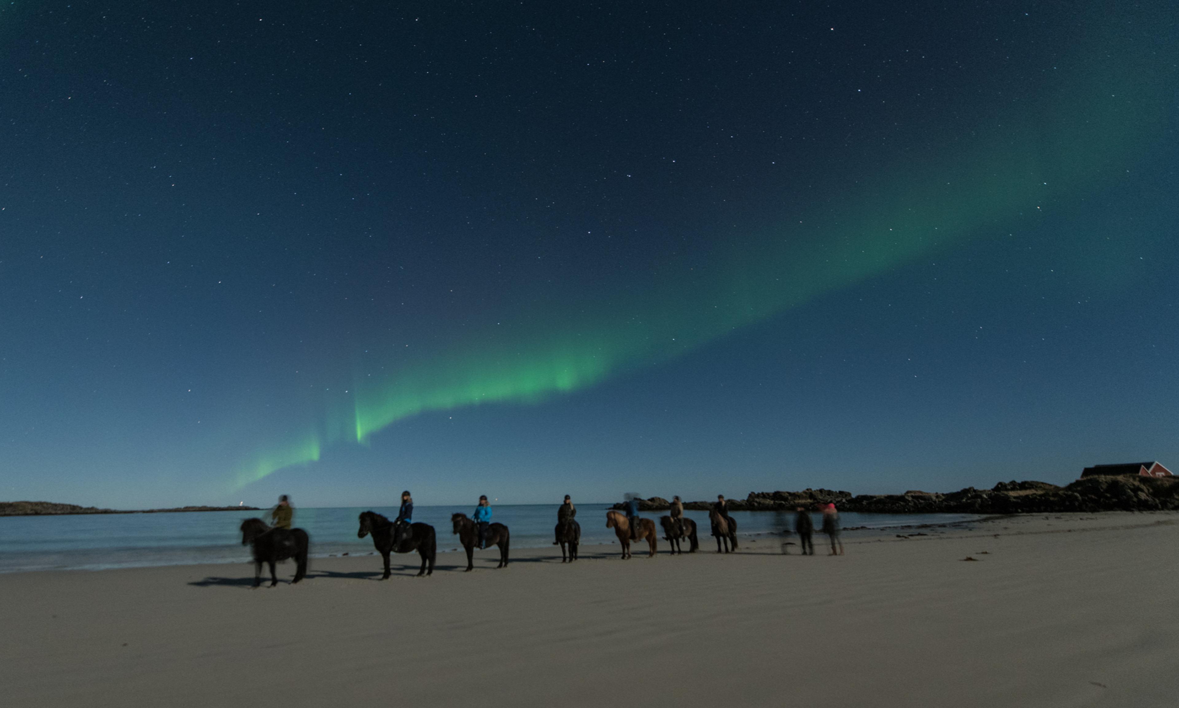 A group of people are riding under the northern lights on a beach in Lofoten, Northern Norway