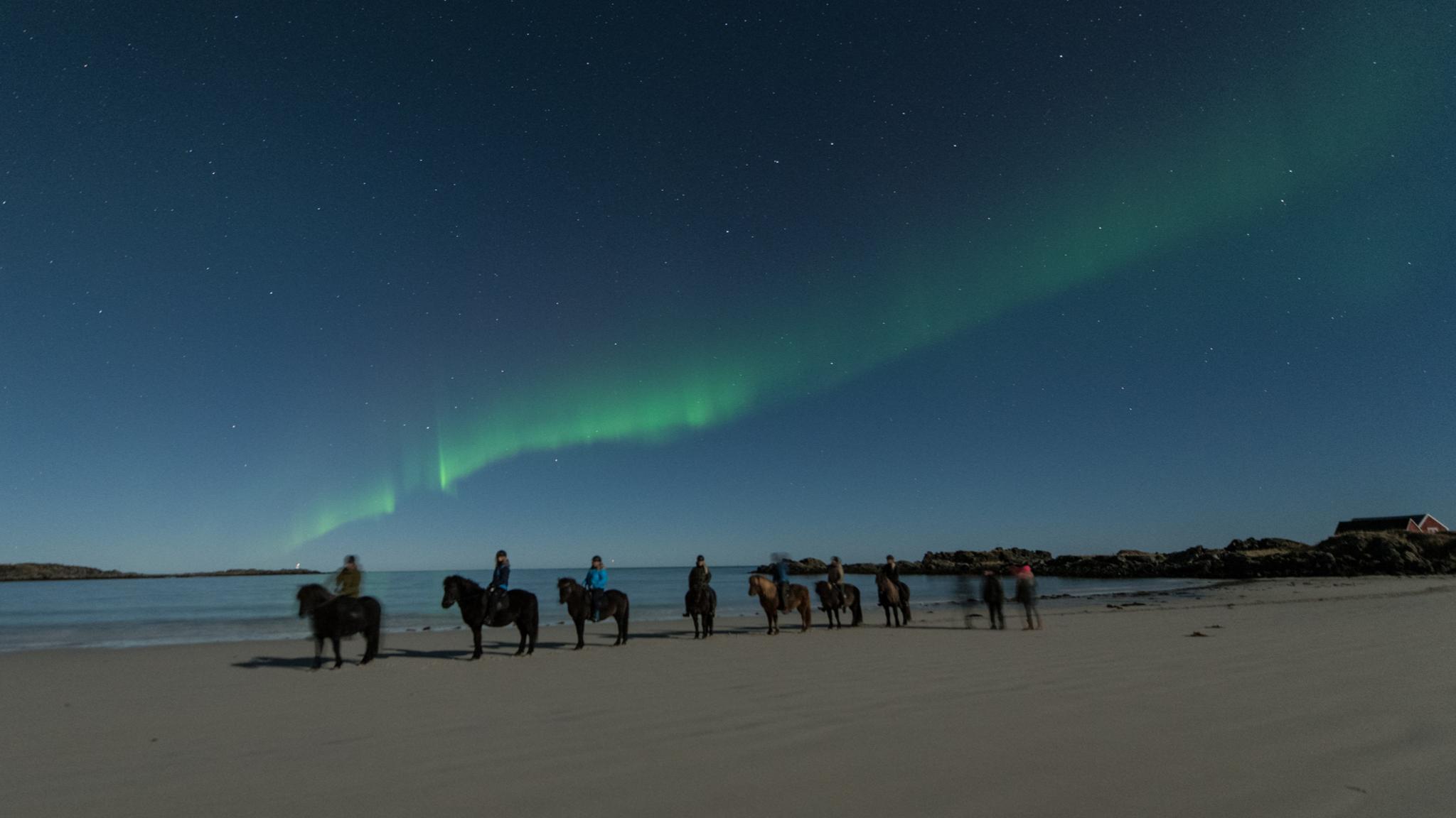 A group of people are riding under the northern lights on a beach in Lofoten, Northern Norway