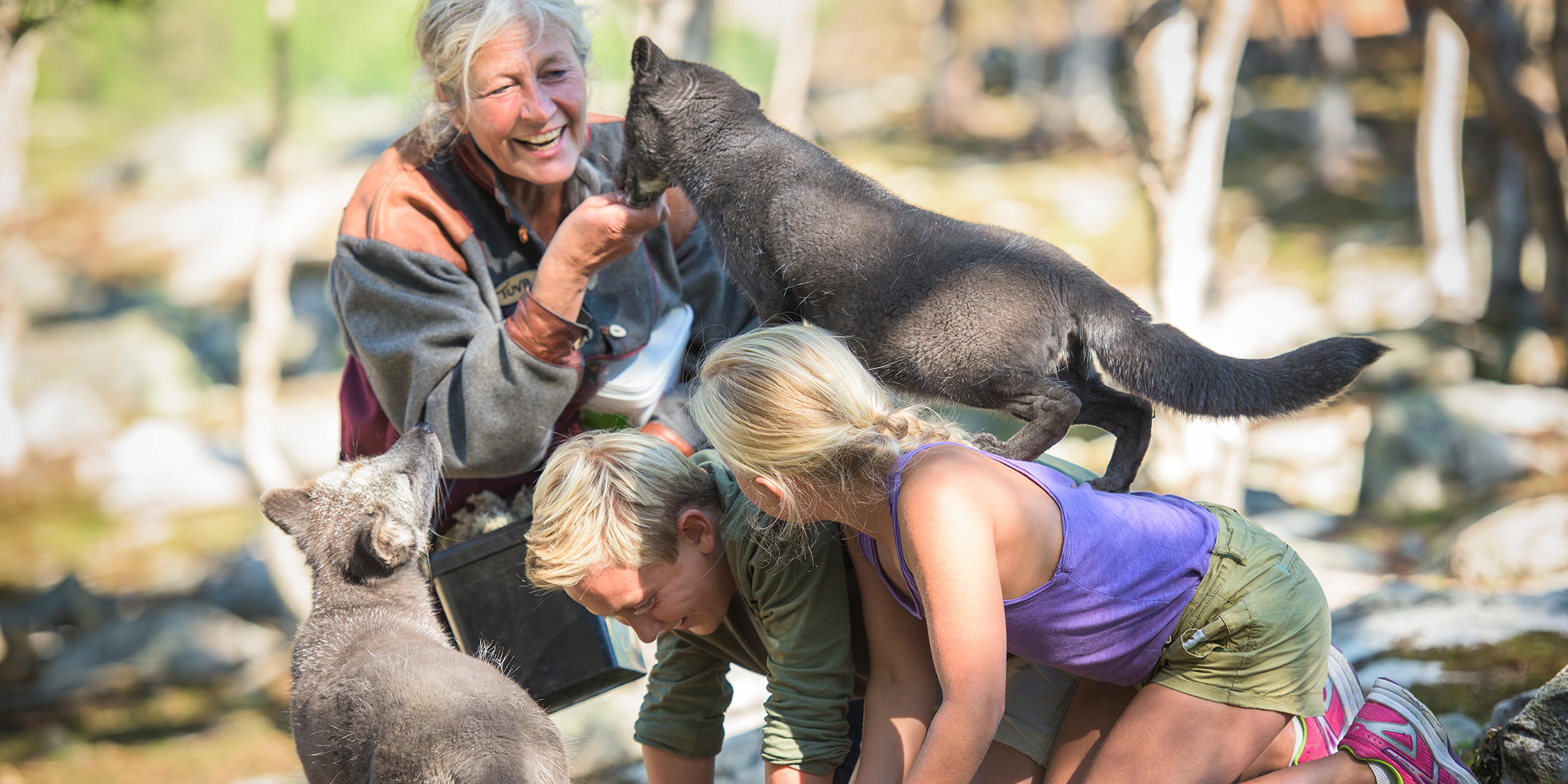 Un grupo de personas juegan con los zorros polares en la granja de Langedrag, en Nesbyen, Hallingdal, Este de Noruega.