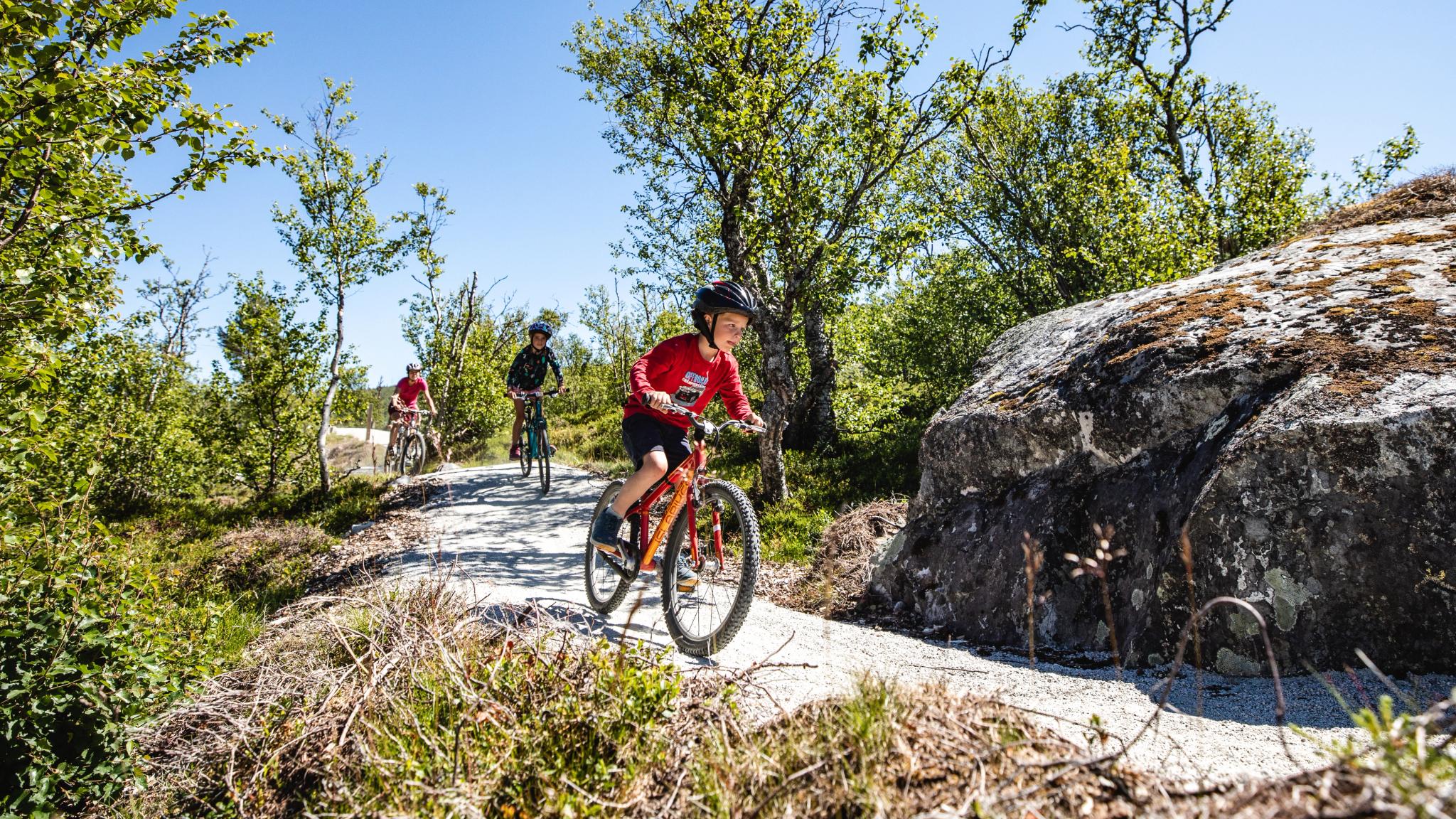 People mountain biking in Hallingdal, Eastern Norway