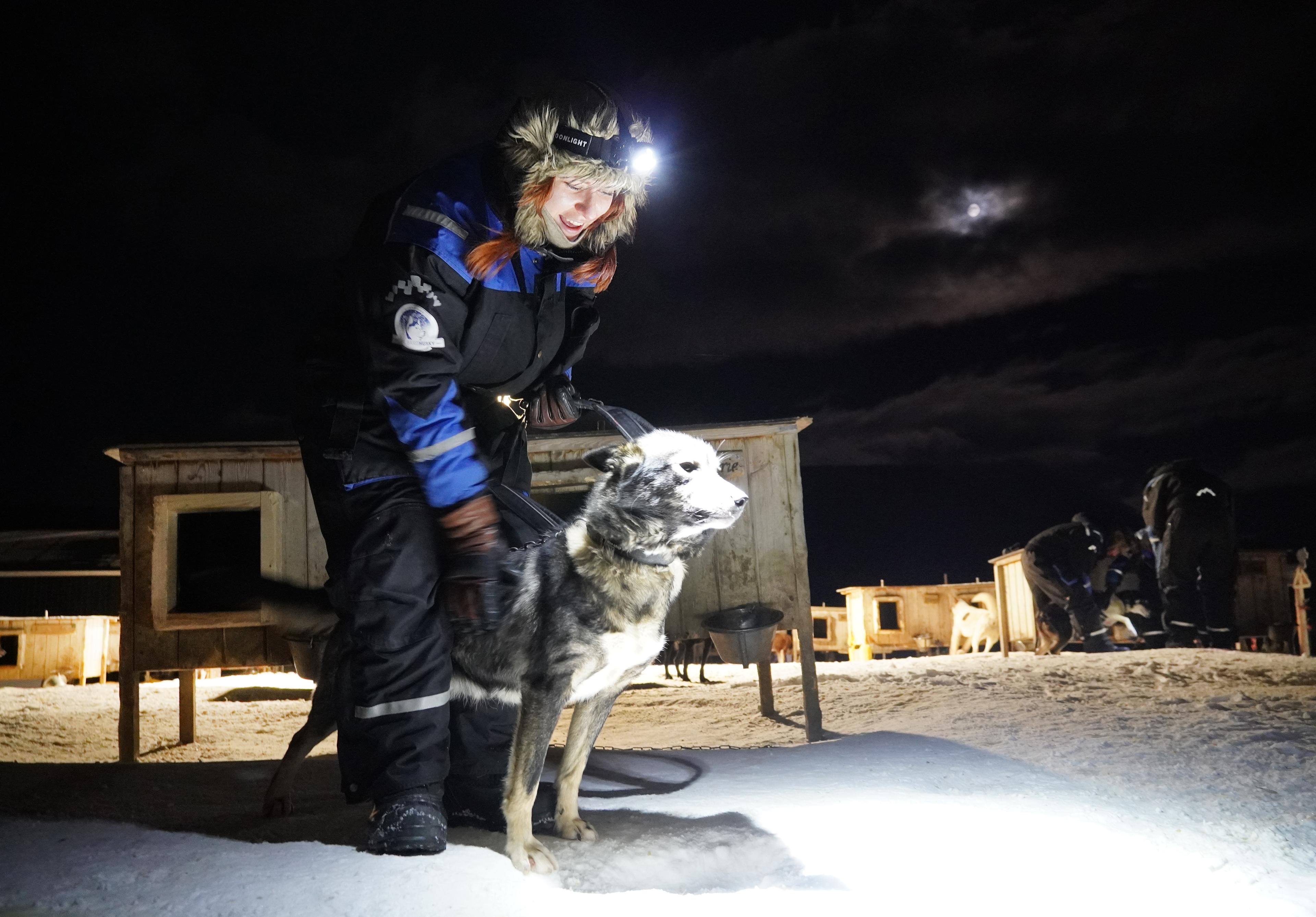 Woman harnessing a dog