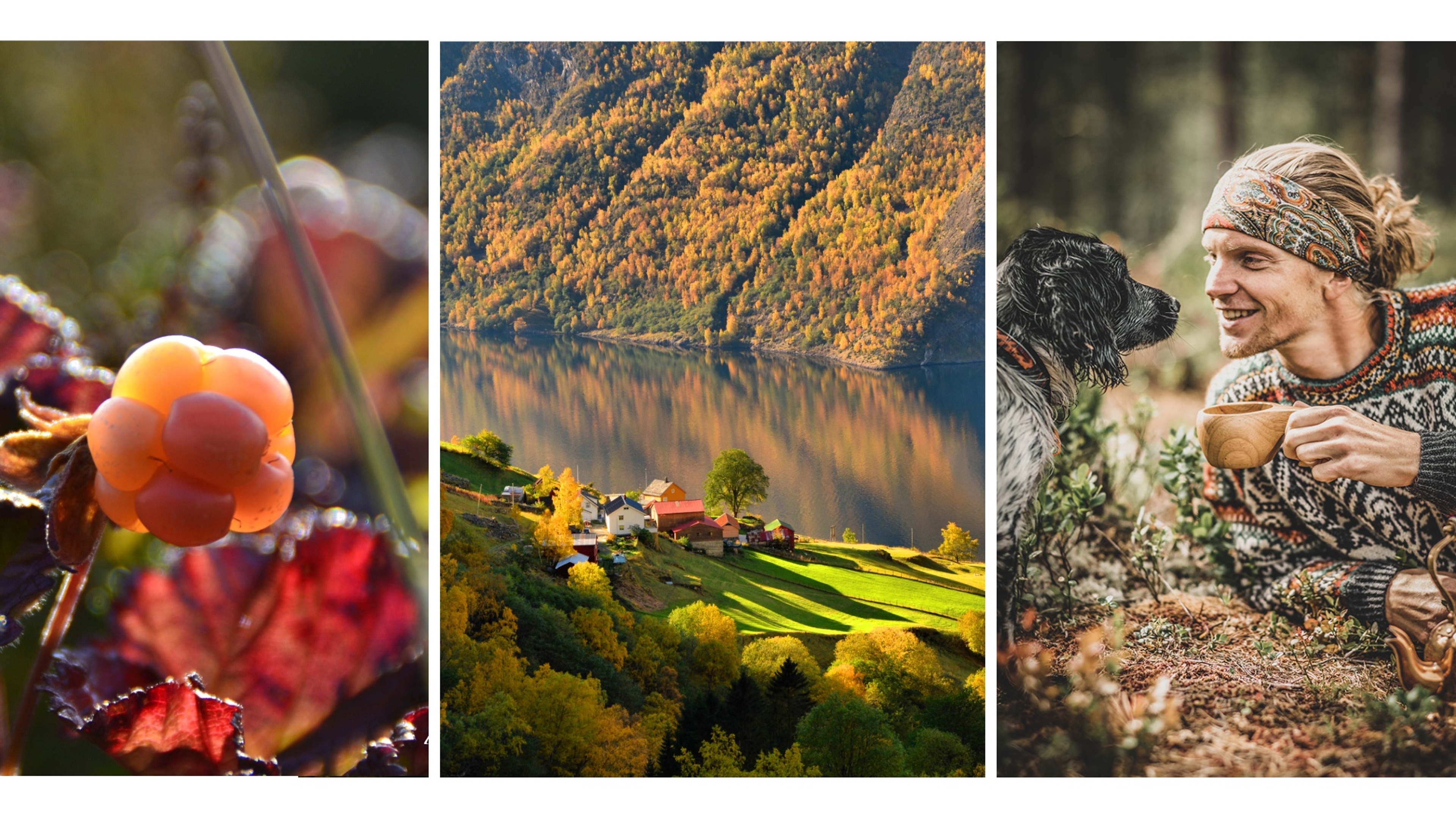 Cloudberry, Aurlandsfjorden and a man and his dog enjoying Norway in autumn