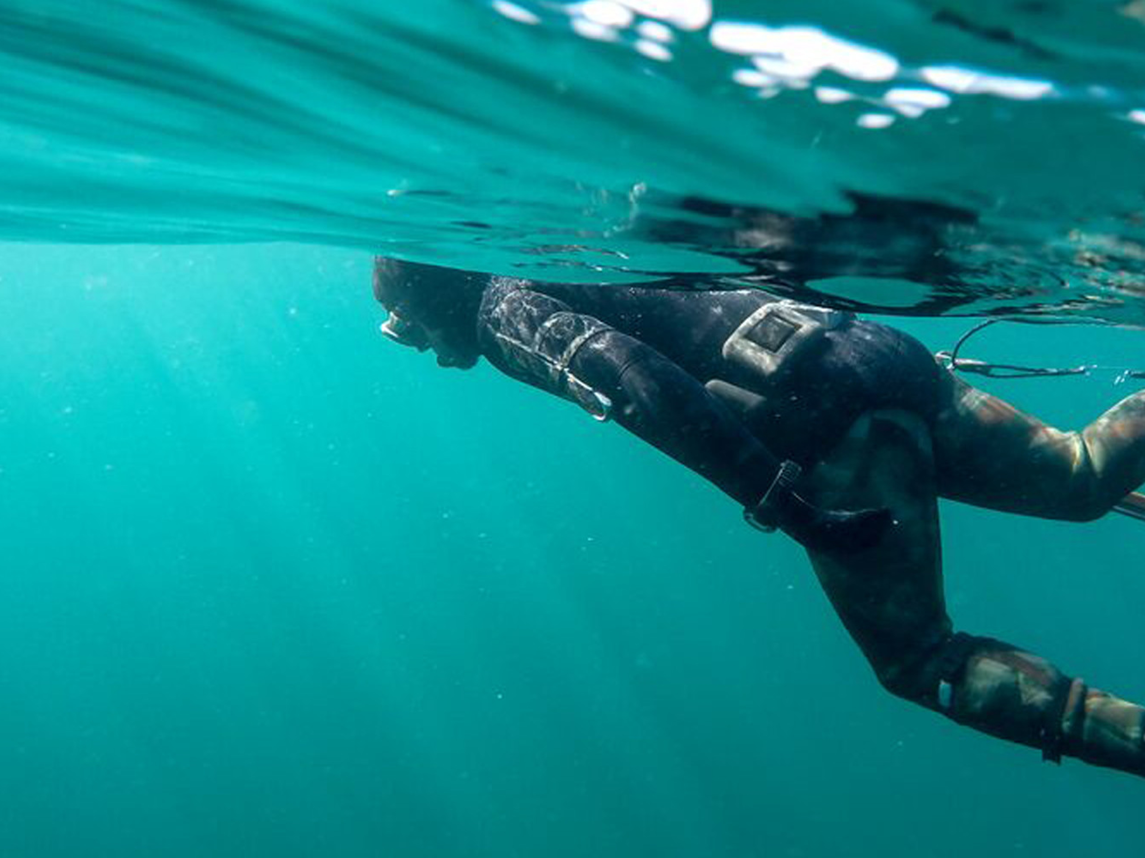 Man scuba diving in the sea