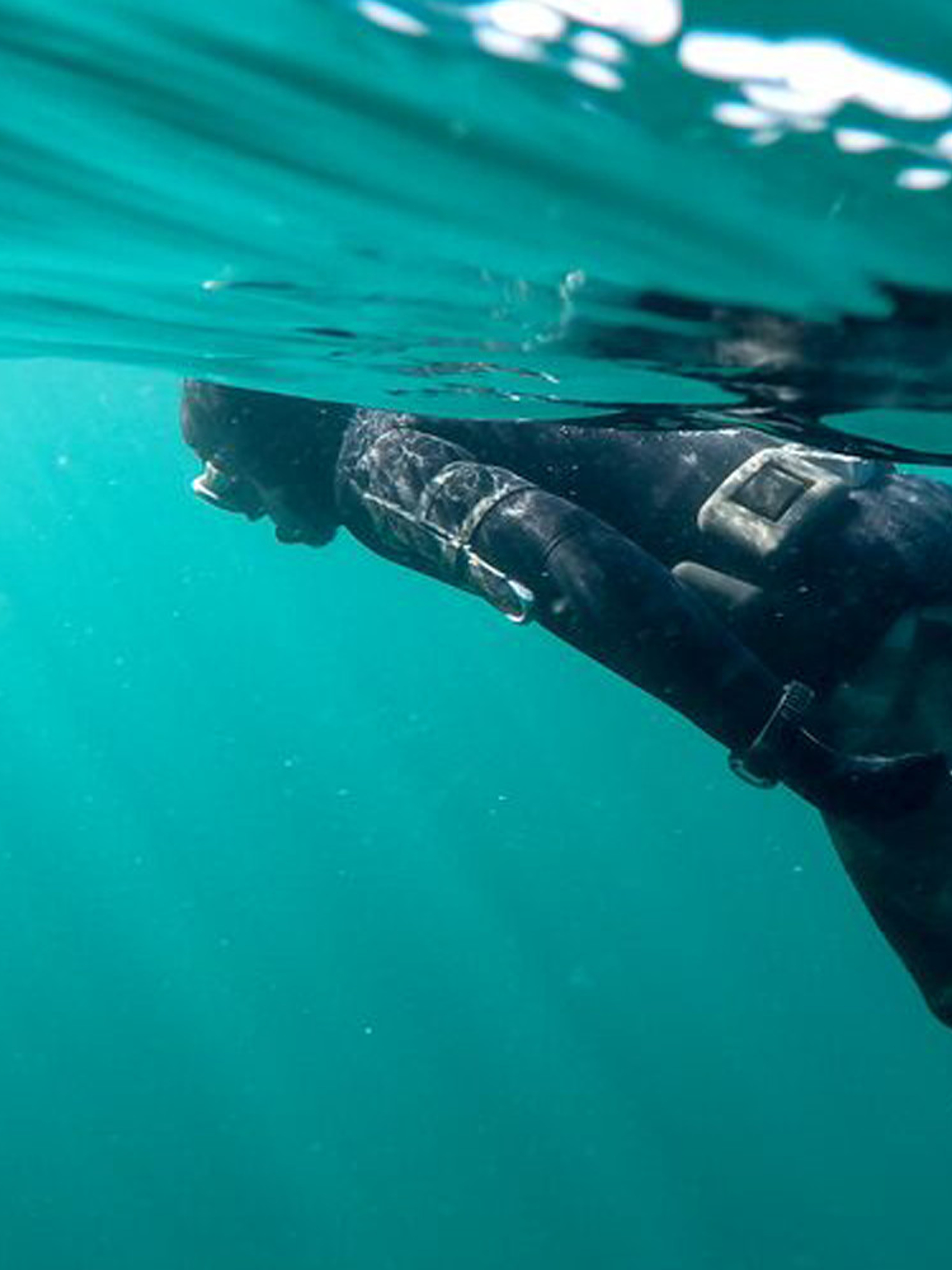 Man scuba diving in the sea