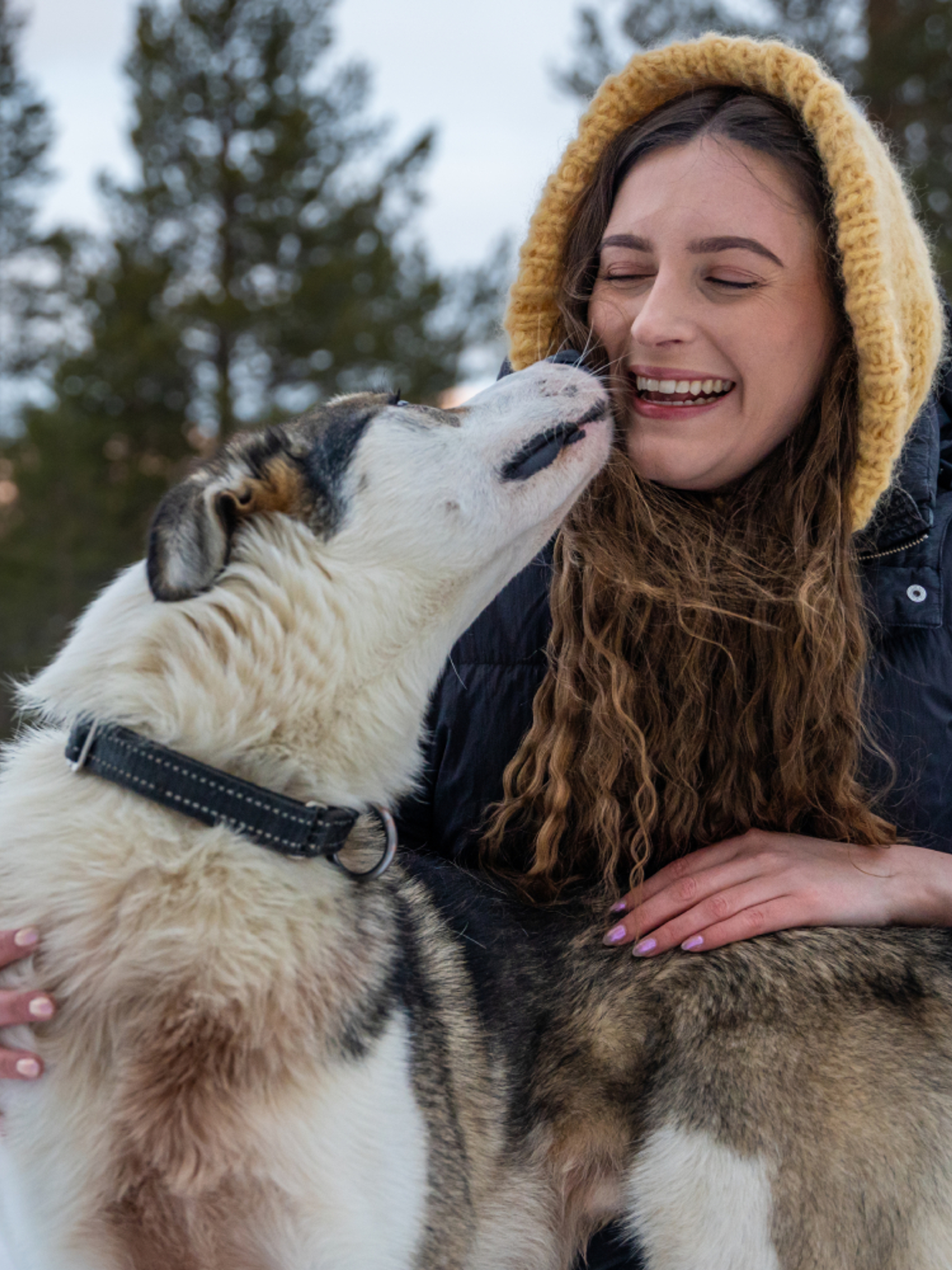 A woman cuddling with a sled dog at Geilo in the winter.