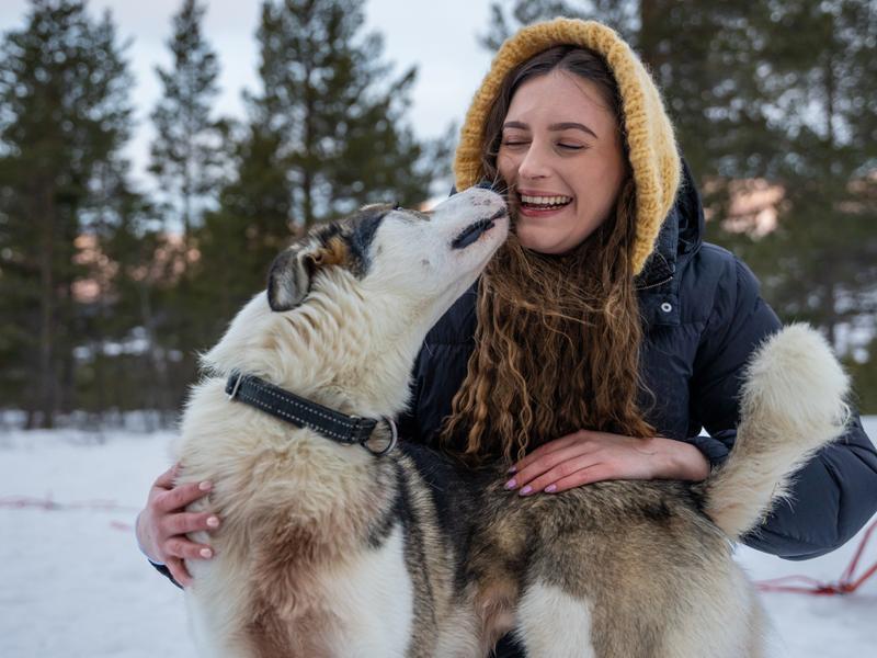 A woman cuddling with a sled dog at Geilo in the winter.