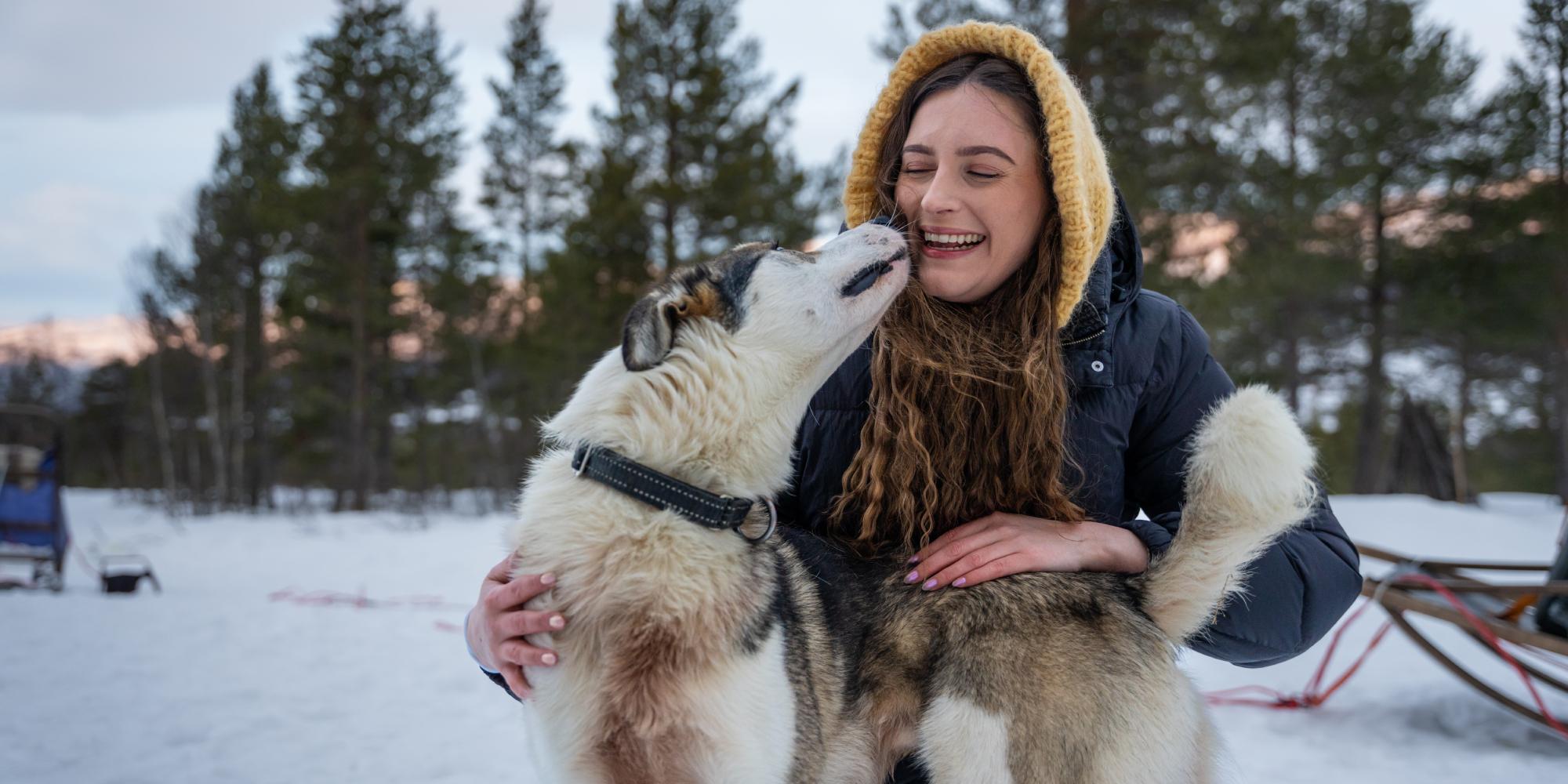 A woman cuddling with a sled dog at Geilo in the winter.