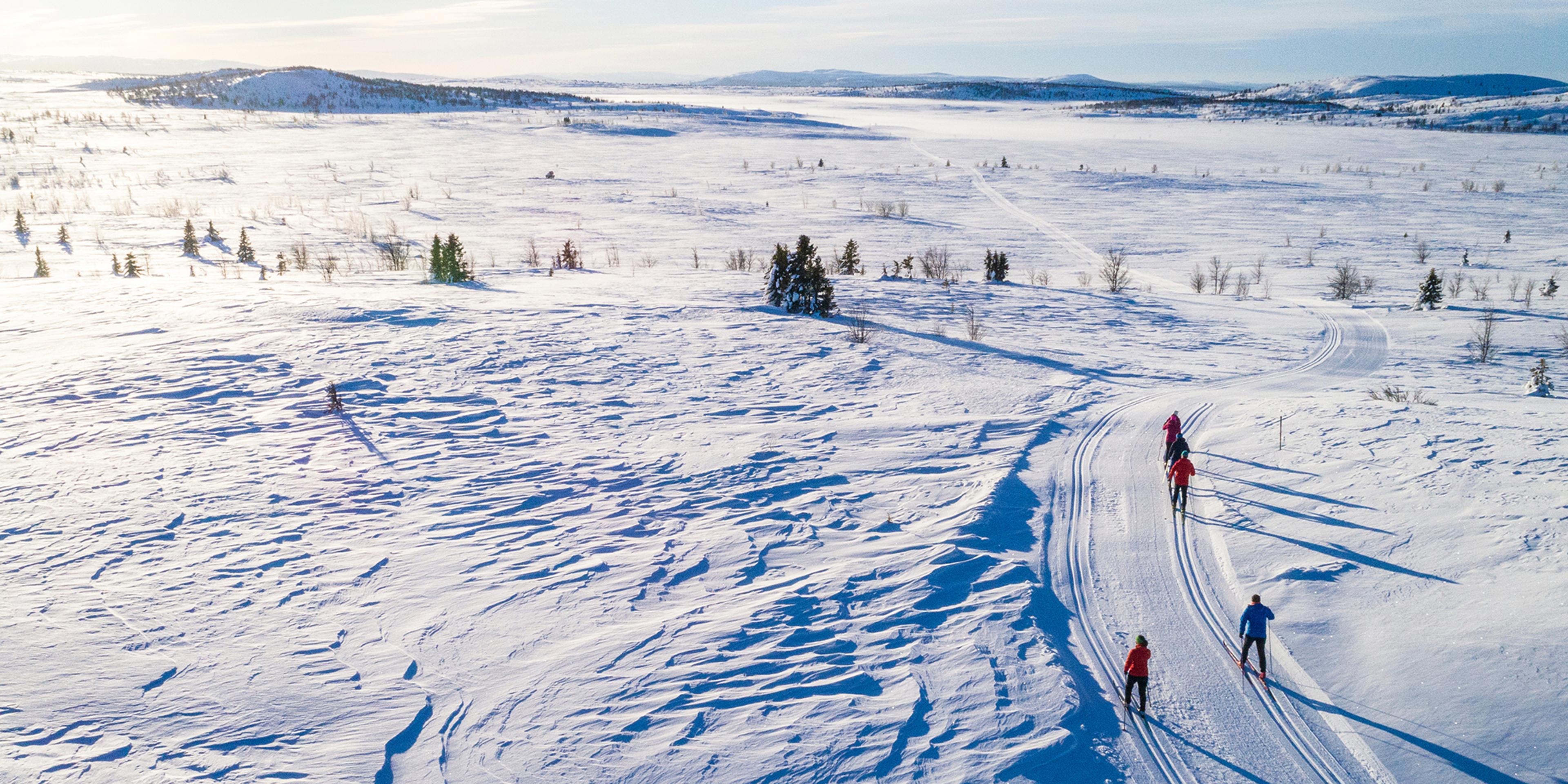 Cross-country skiers in the mountains of Valdres, Eastern Norway