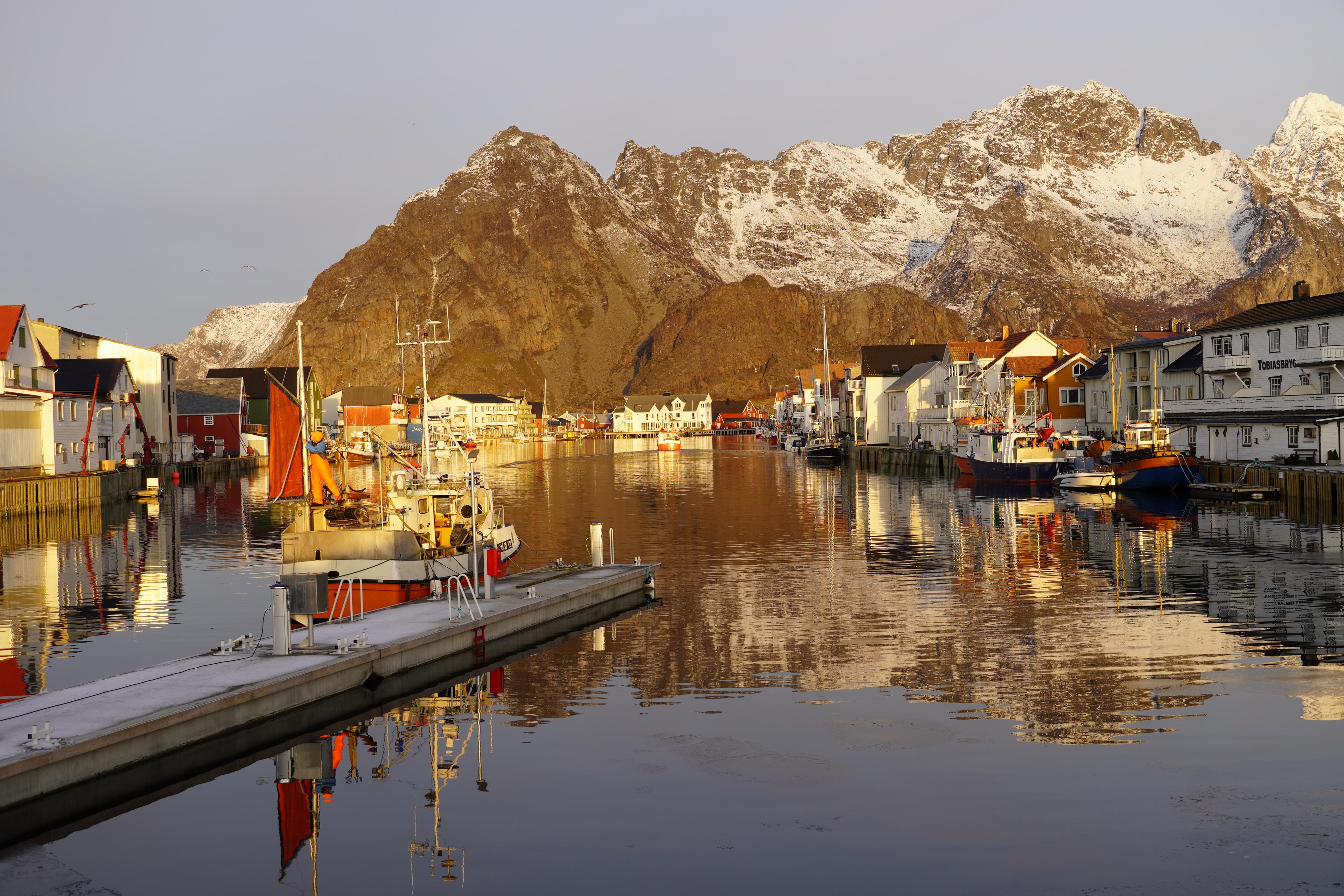 Henningsvær in Lofoten, during skrei season
