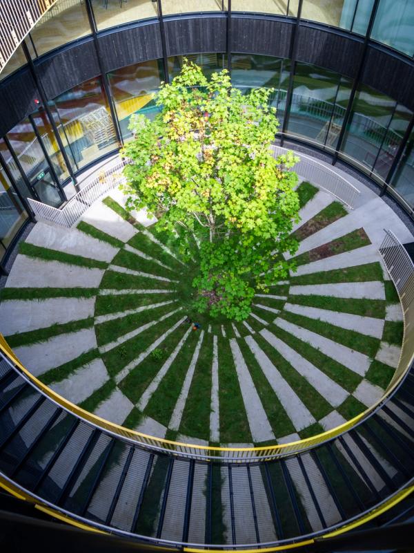 The courtyard below the roof at the furniture factory The Plus