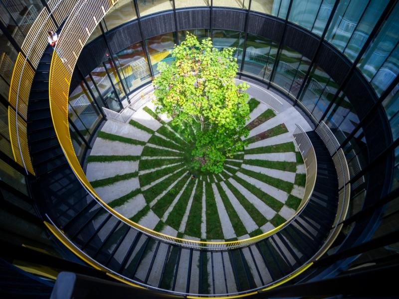 The courtyard below the roof at the furniture factory The Plus